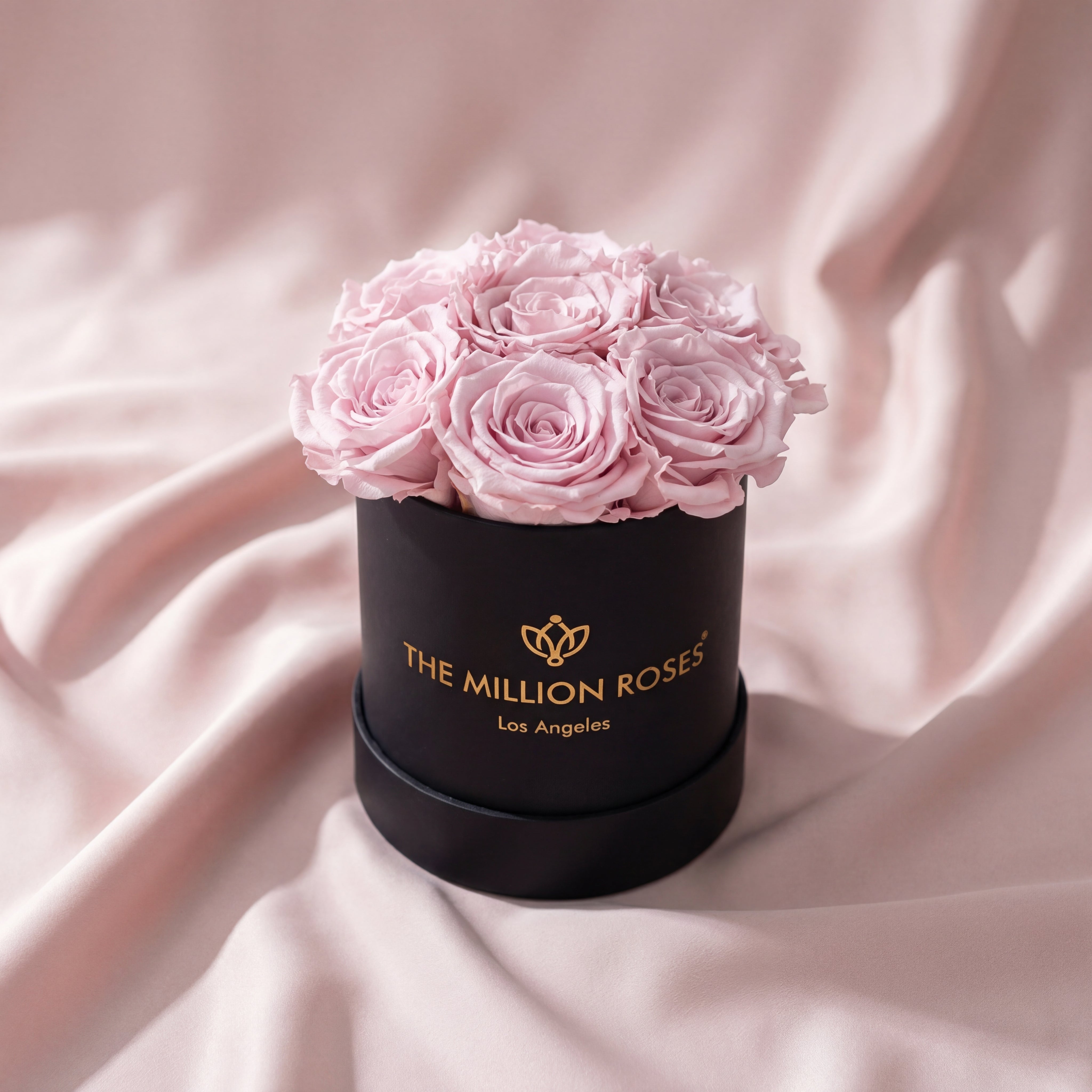 Basic Black Box | Light Pink Roses