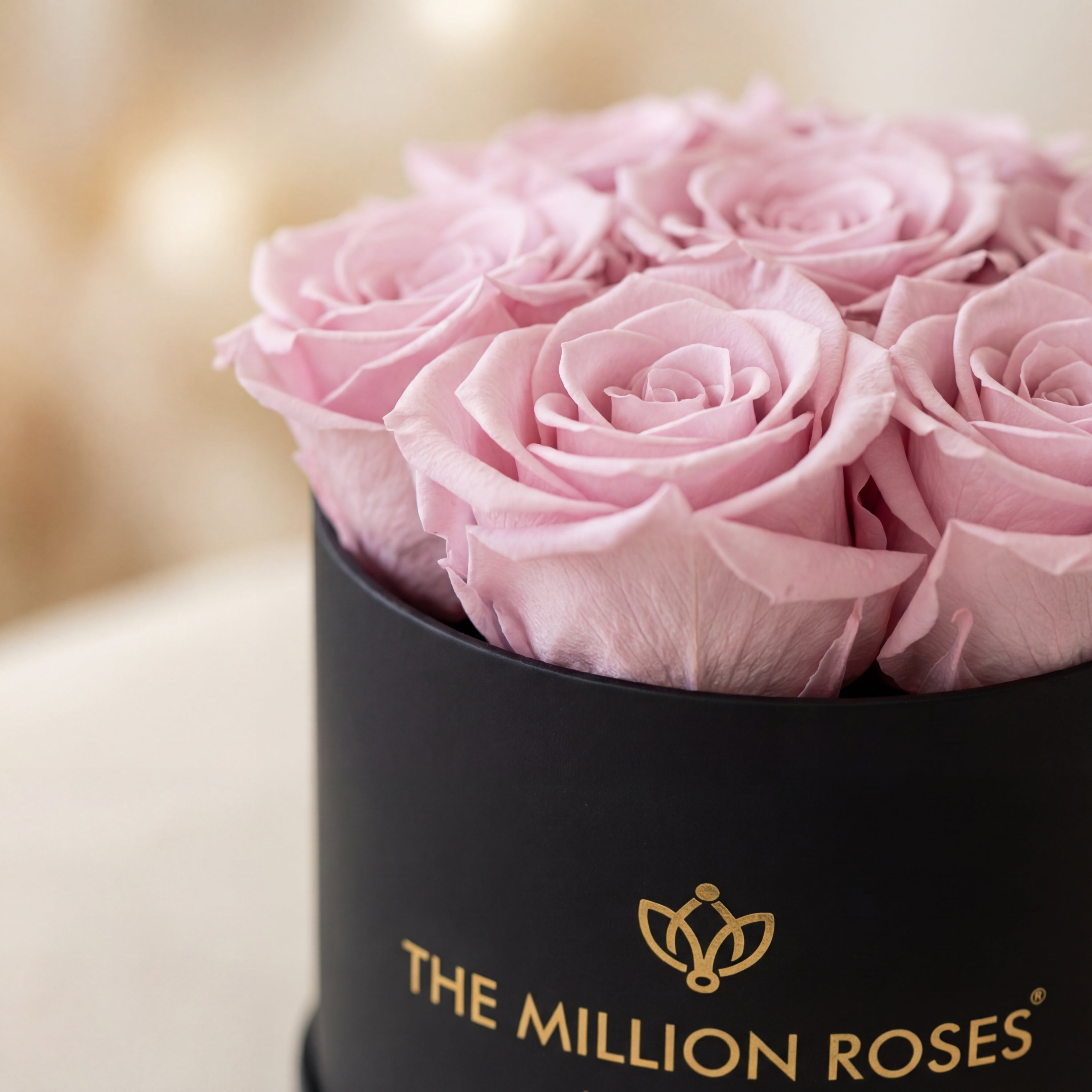 Basic Black Box | Light Pink Roses
