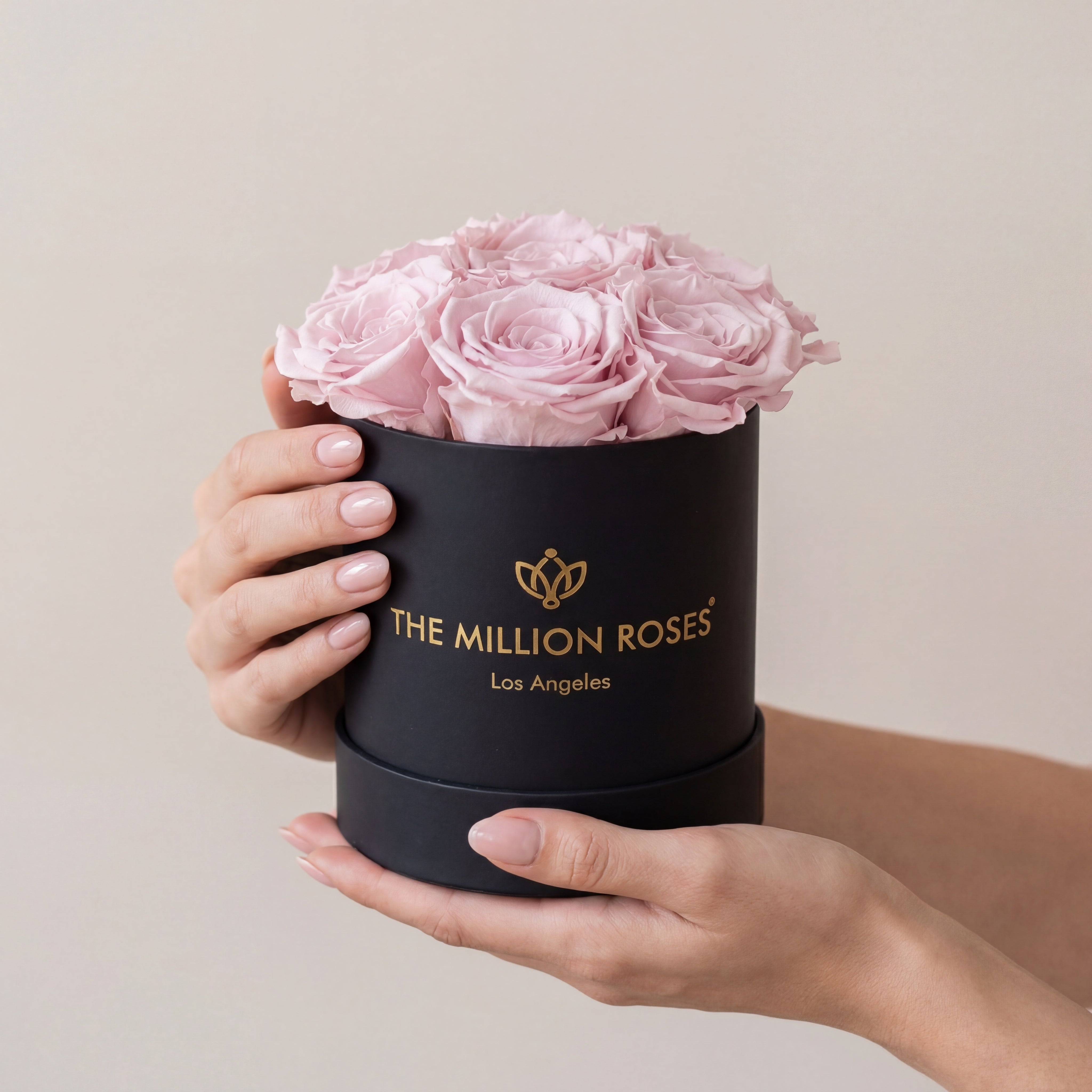 Basic Black Box | Light Pink Roses