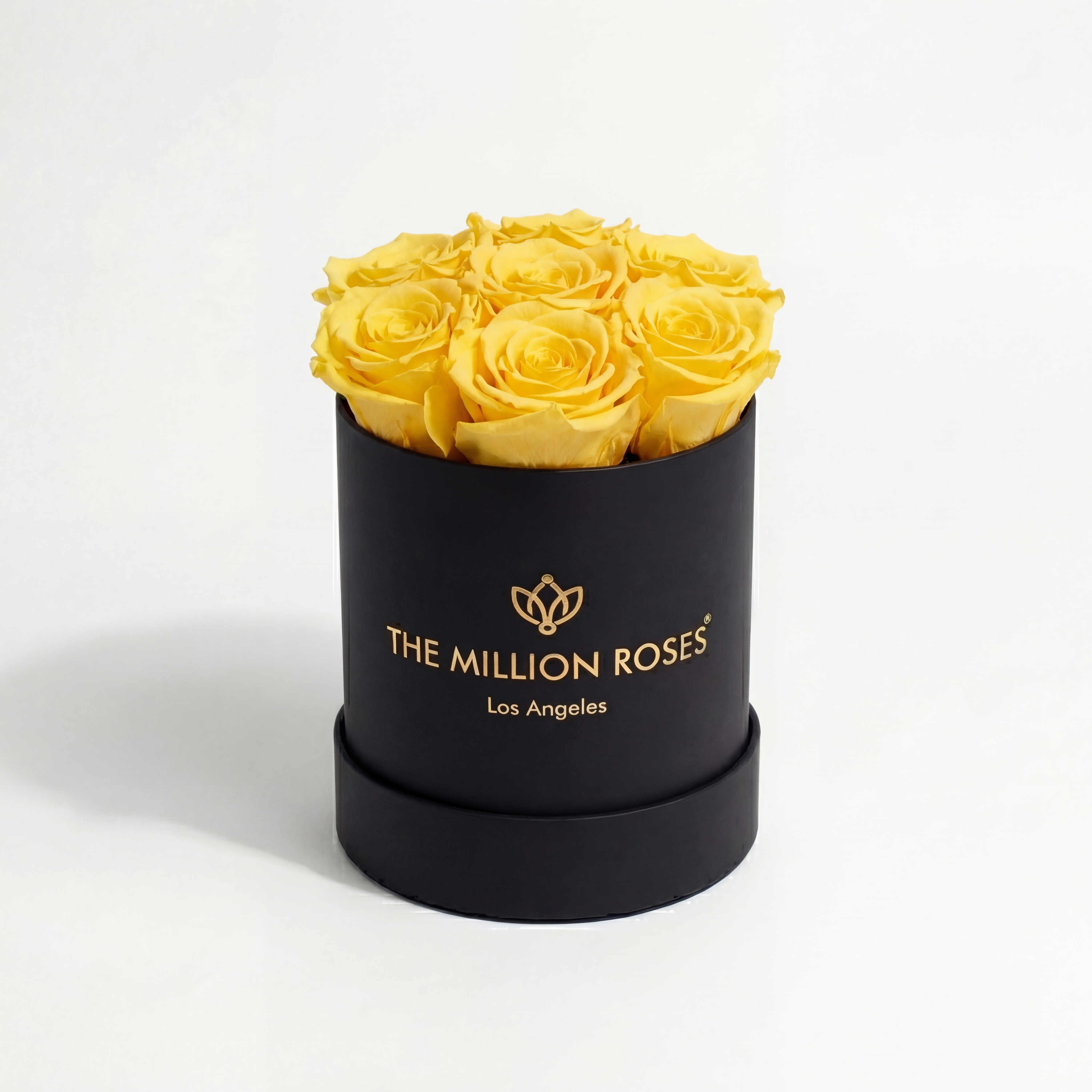 Basic Black Box | Yellow Roses