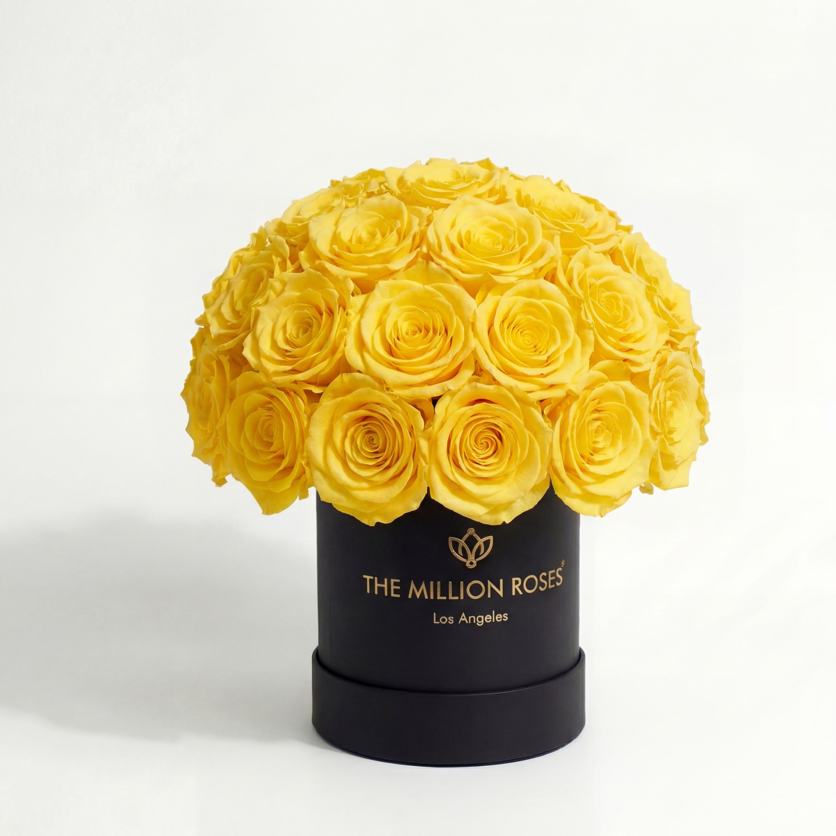 Essence Black Superdome Box | Yellow Roses