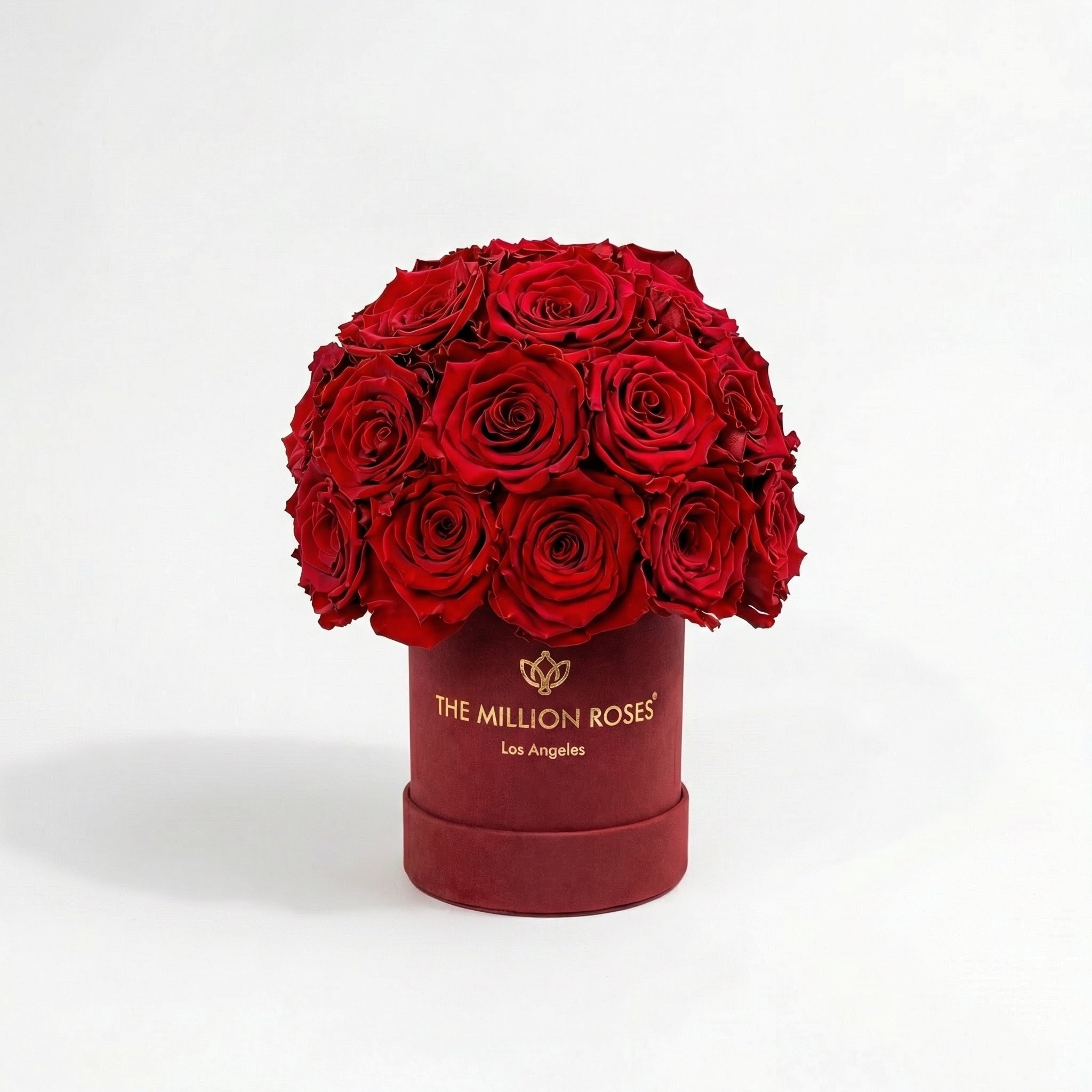 Basic Bordeaux Suede Superdome Box | Red Roses