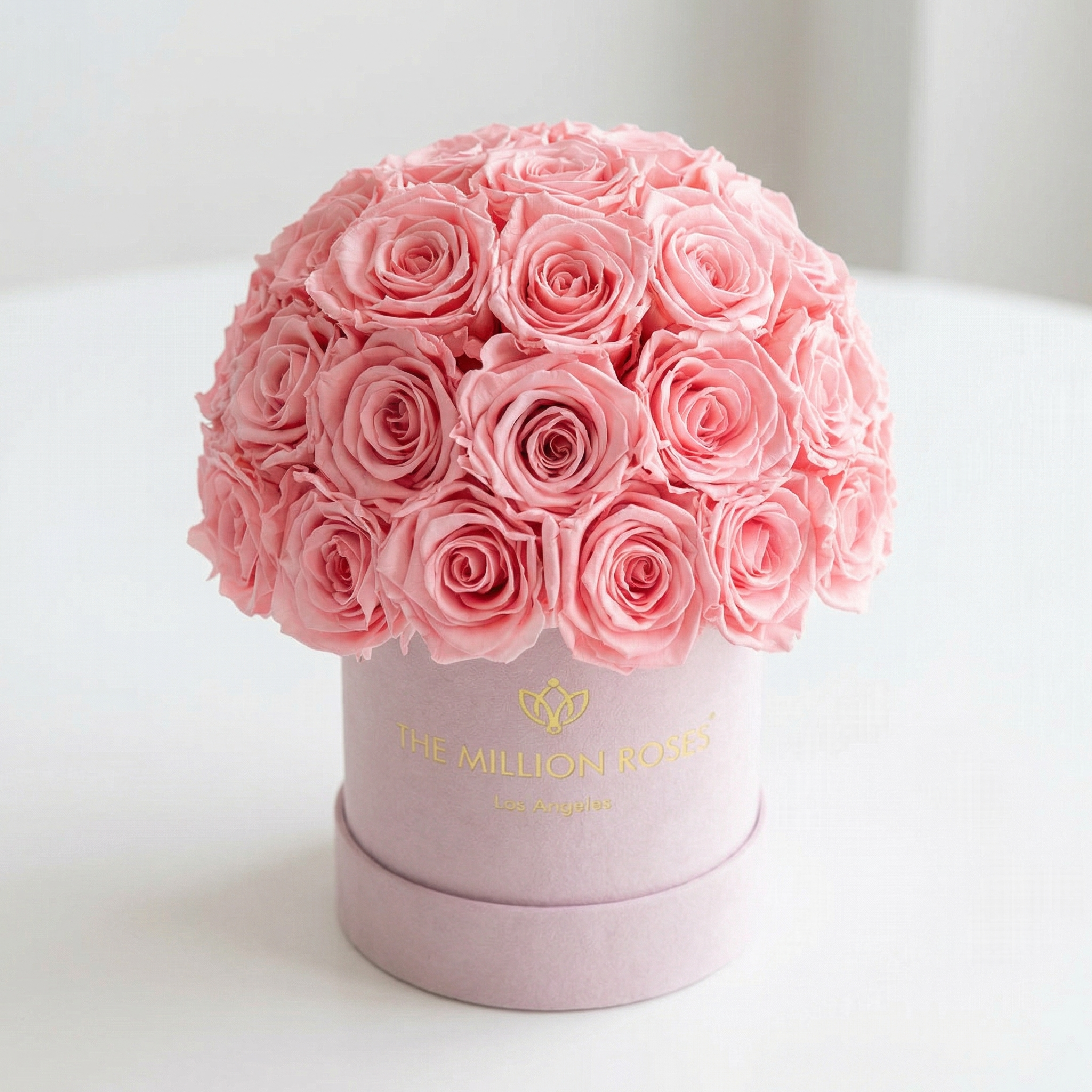 Basic Hellrosa Wildleder Superdome Box | Hellrosa Rosen