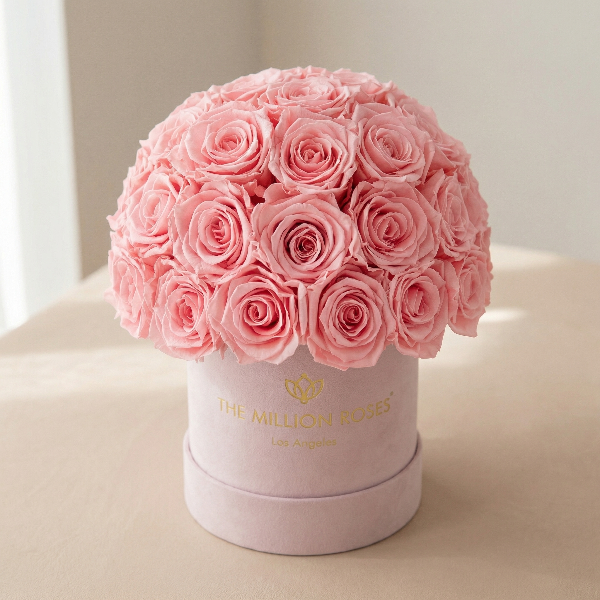 Basic Hellrosa Wildleder Superdome Box | Hellrosa Rosen