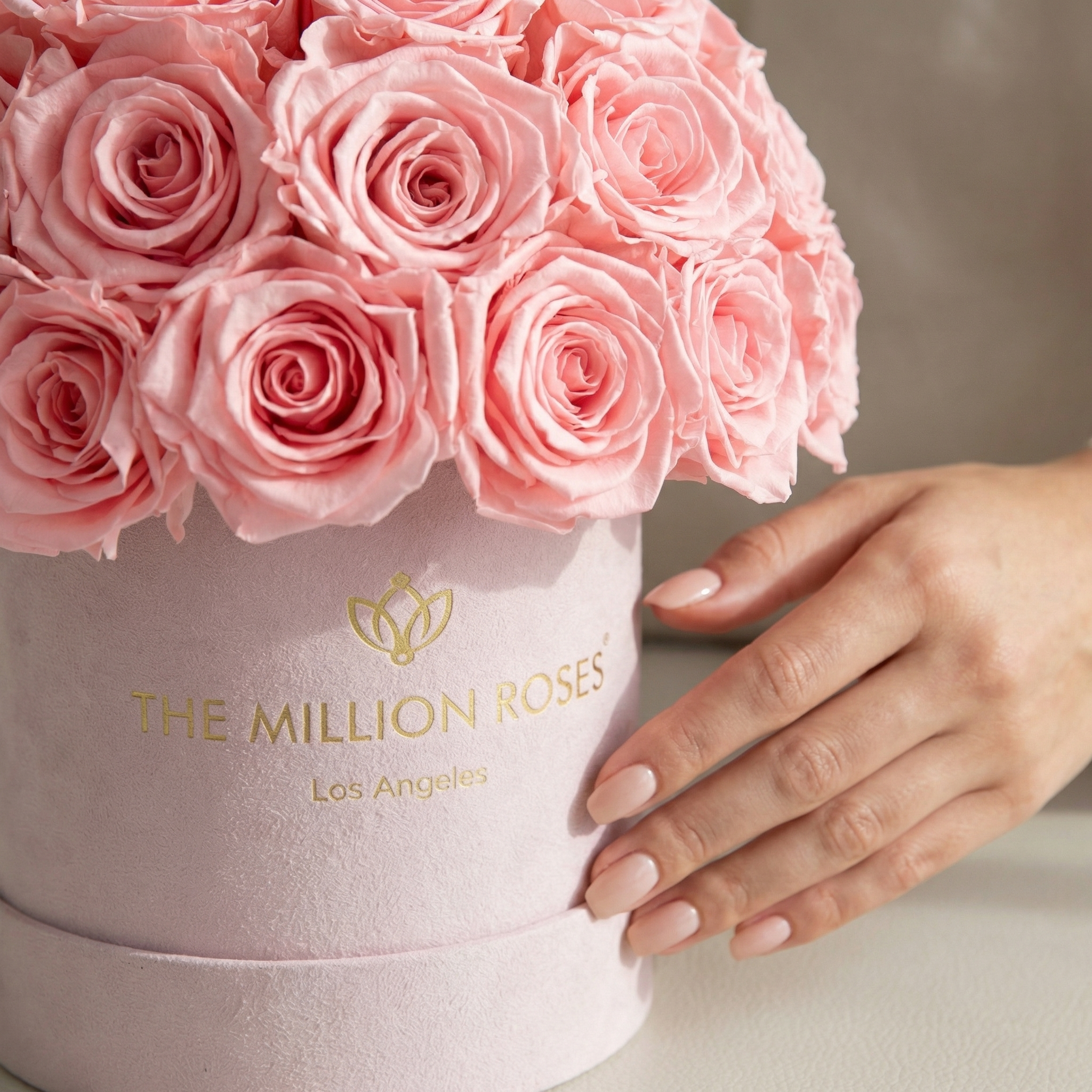 Basic Light Pink Suede Superdome Box | Light Pink Roses