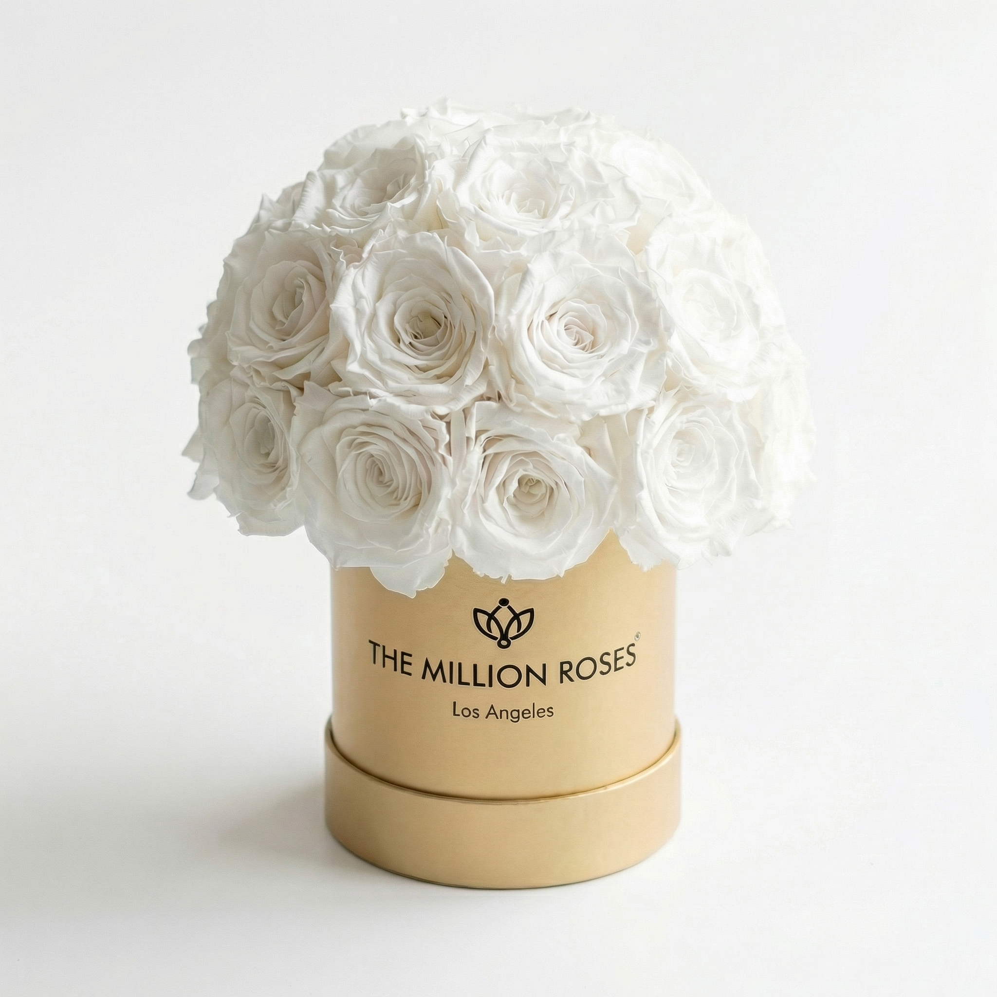 Basic Gold Superdome Box | White Roses