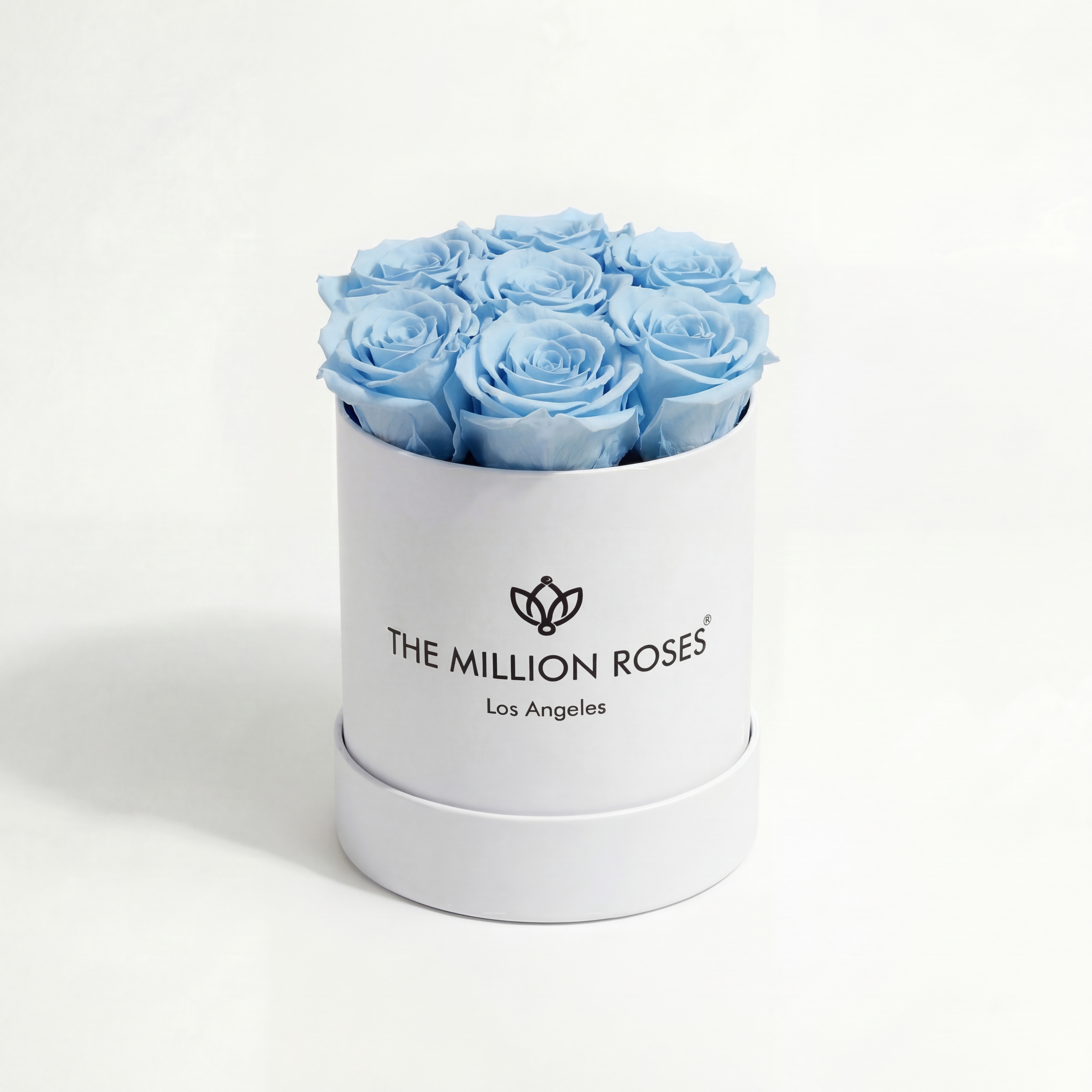 Basic White Box | Light Blue Roses