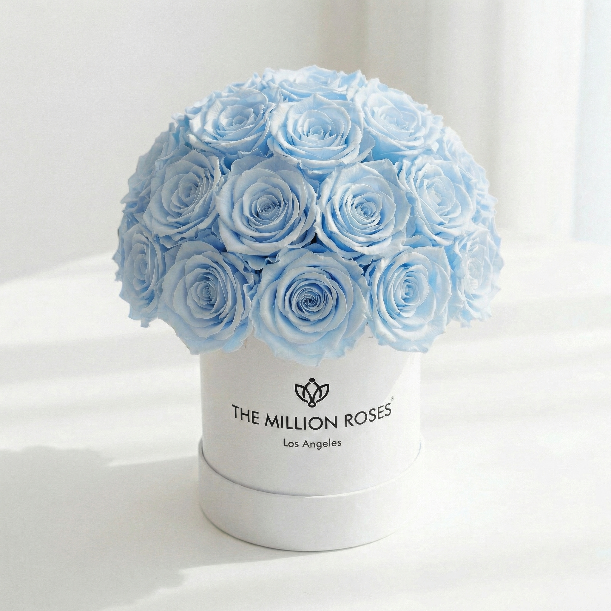 Basic White Superdome Box | Light Blue Roses