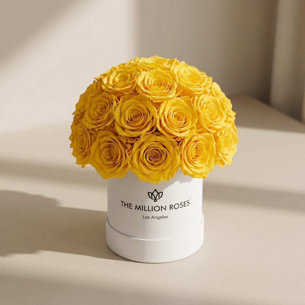 Essence White Superdome Box | Yellow Roses