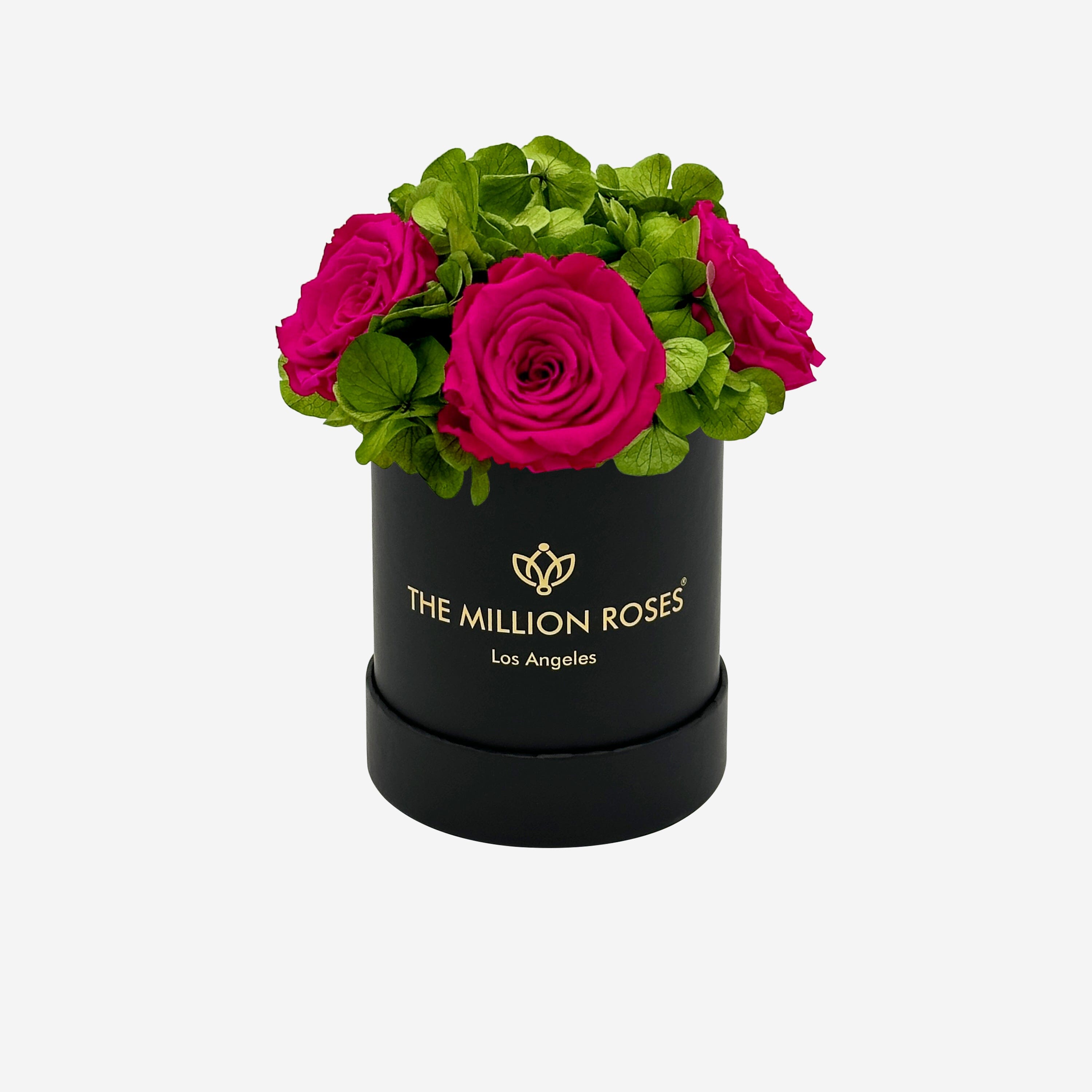 Caja de jardín negra básica | Rosas rosadas fuertes