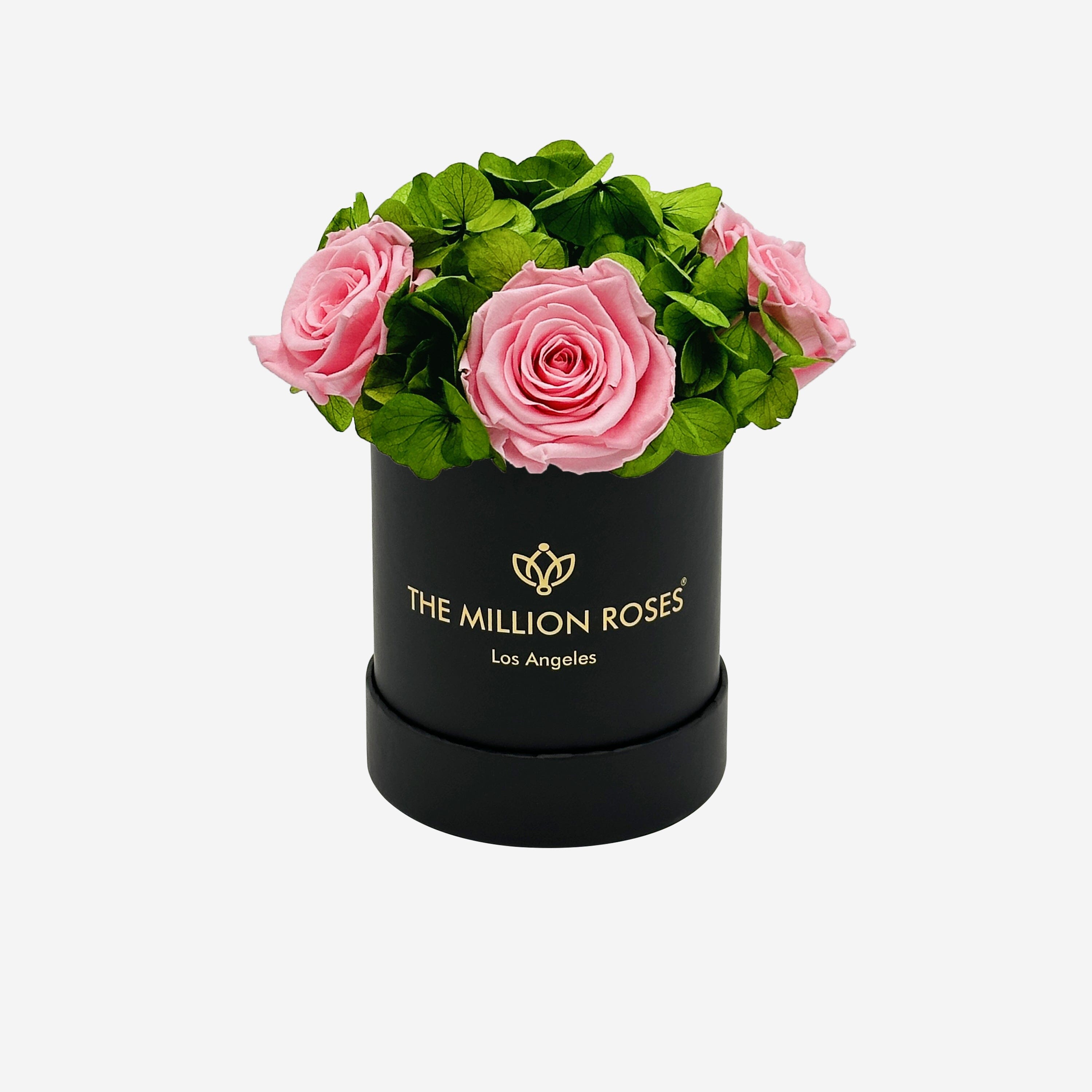 Caja de jardín negra básica | Rosas Rosa Claro