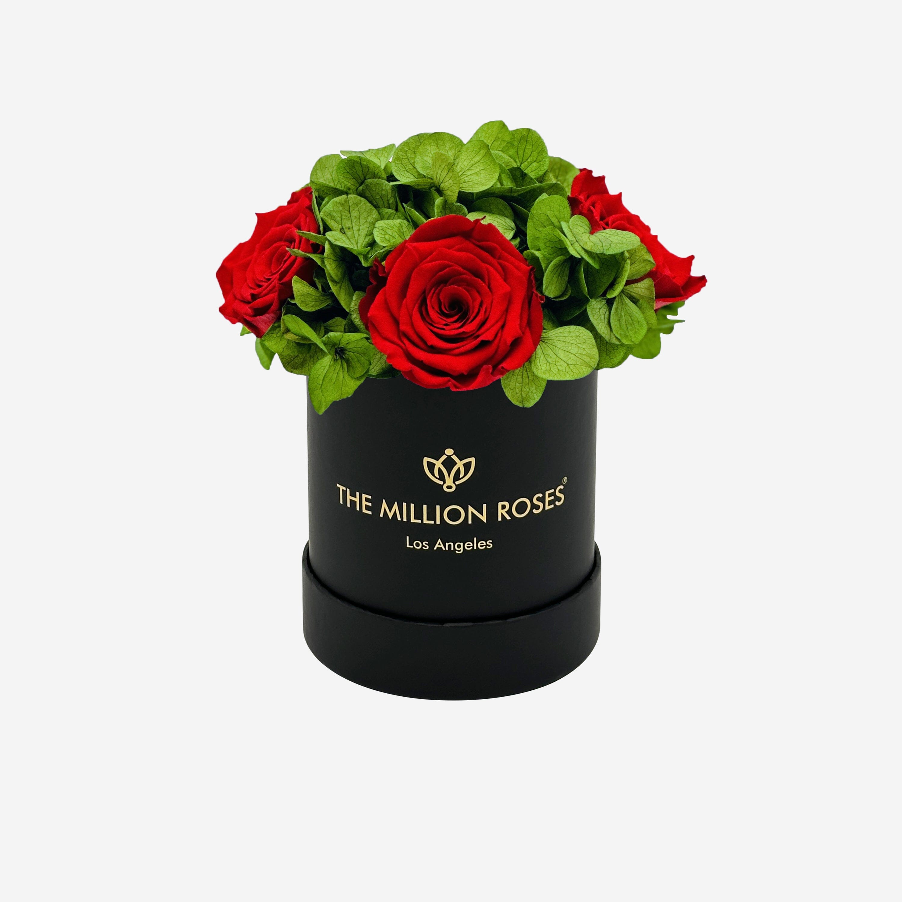 Boîte de jardin noire de base | Roses rouges