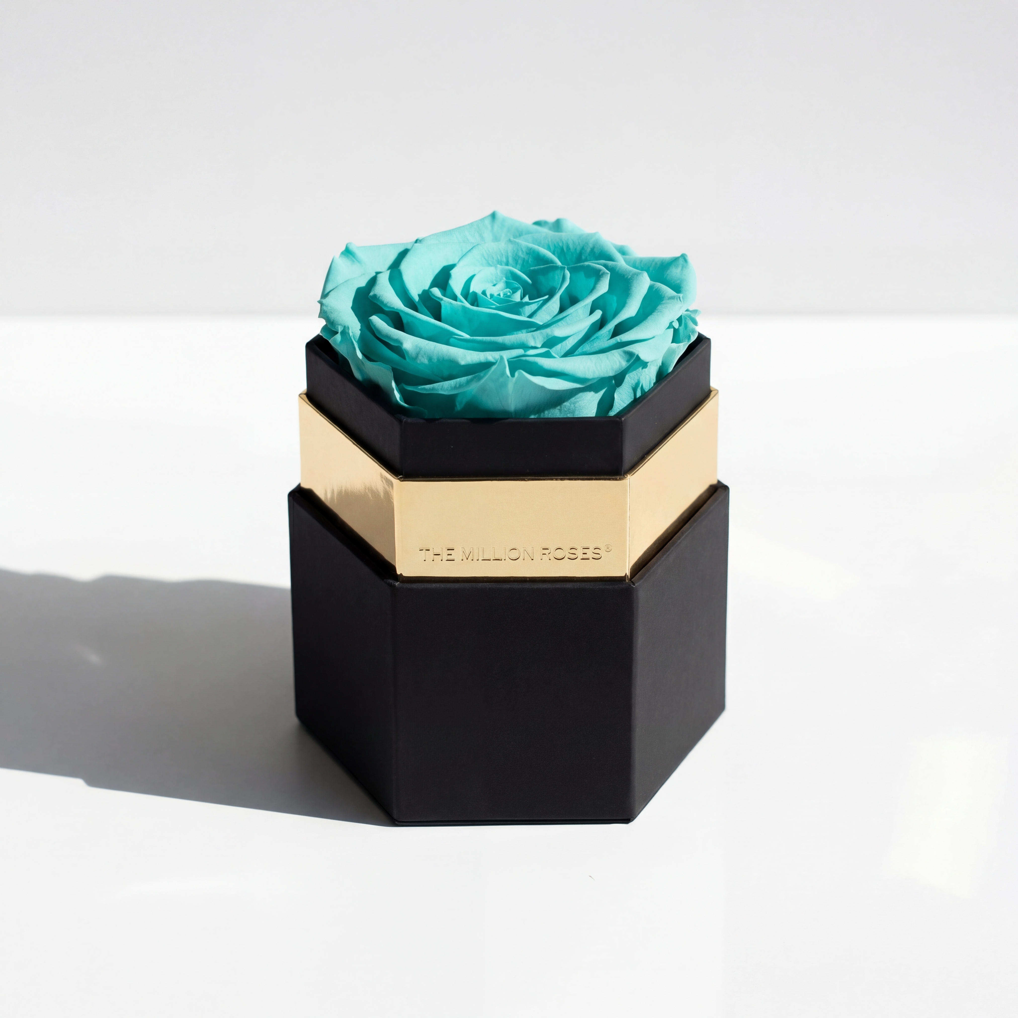 One in a Million™ Black Hexagon Box | Turquoise Rose