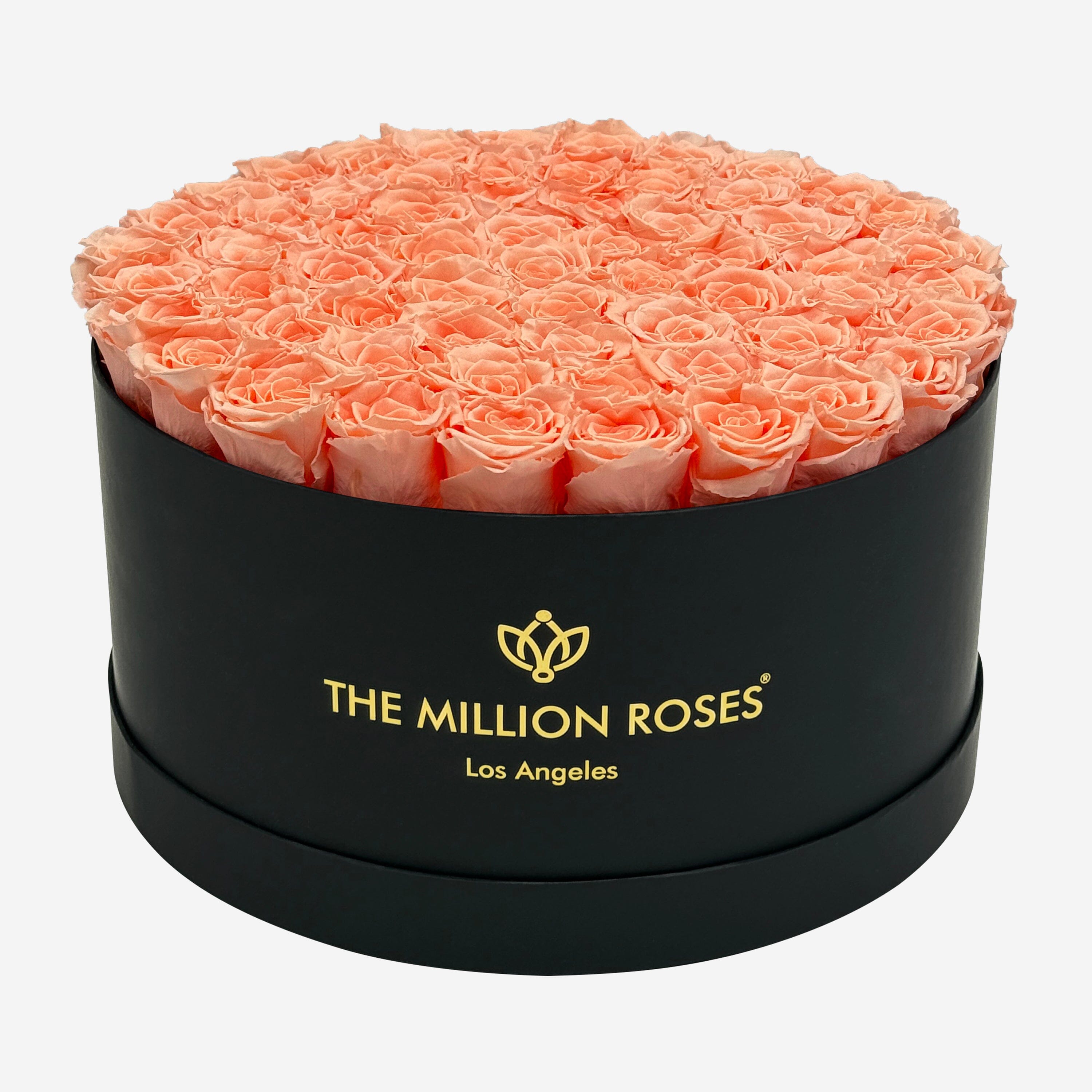 Deluxe Black Box | Peach Roses
