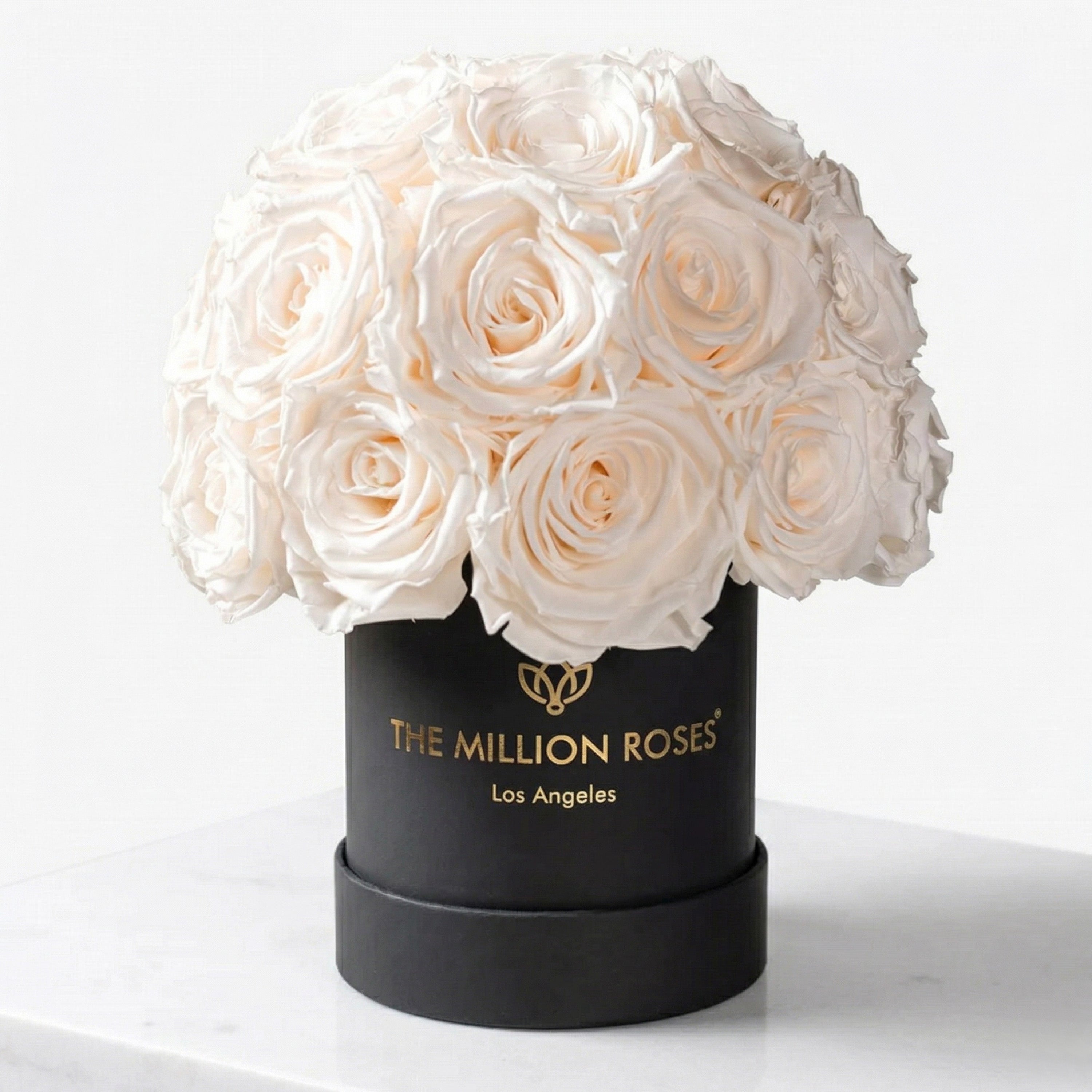 Scatola Superdome nera di base | Rose Bianche