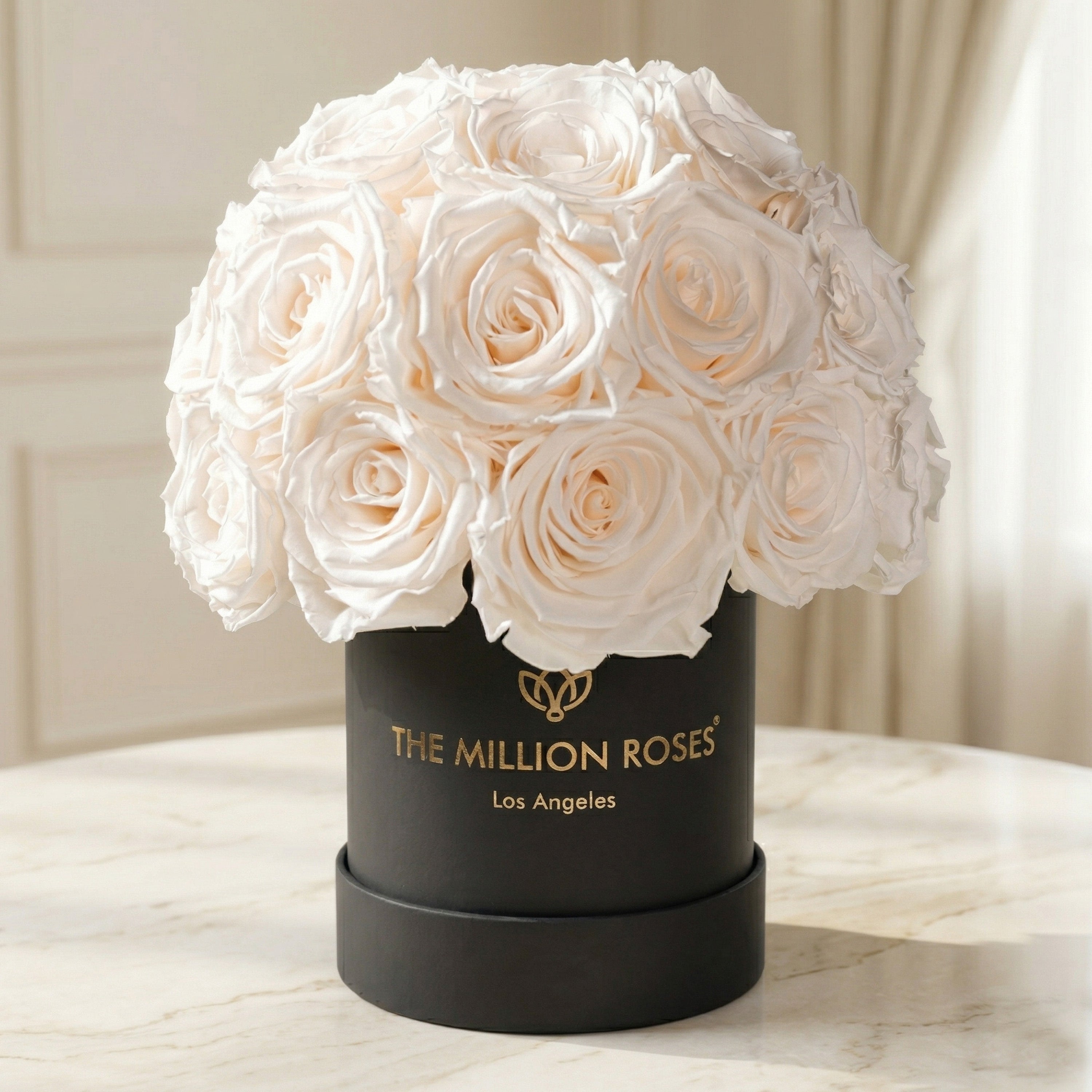 Scatola Superdome nera di base | Rose Bianche