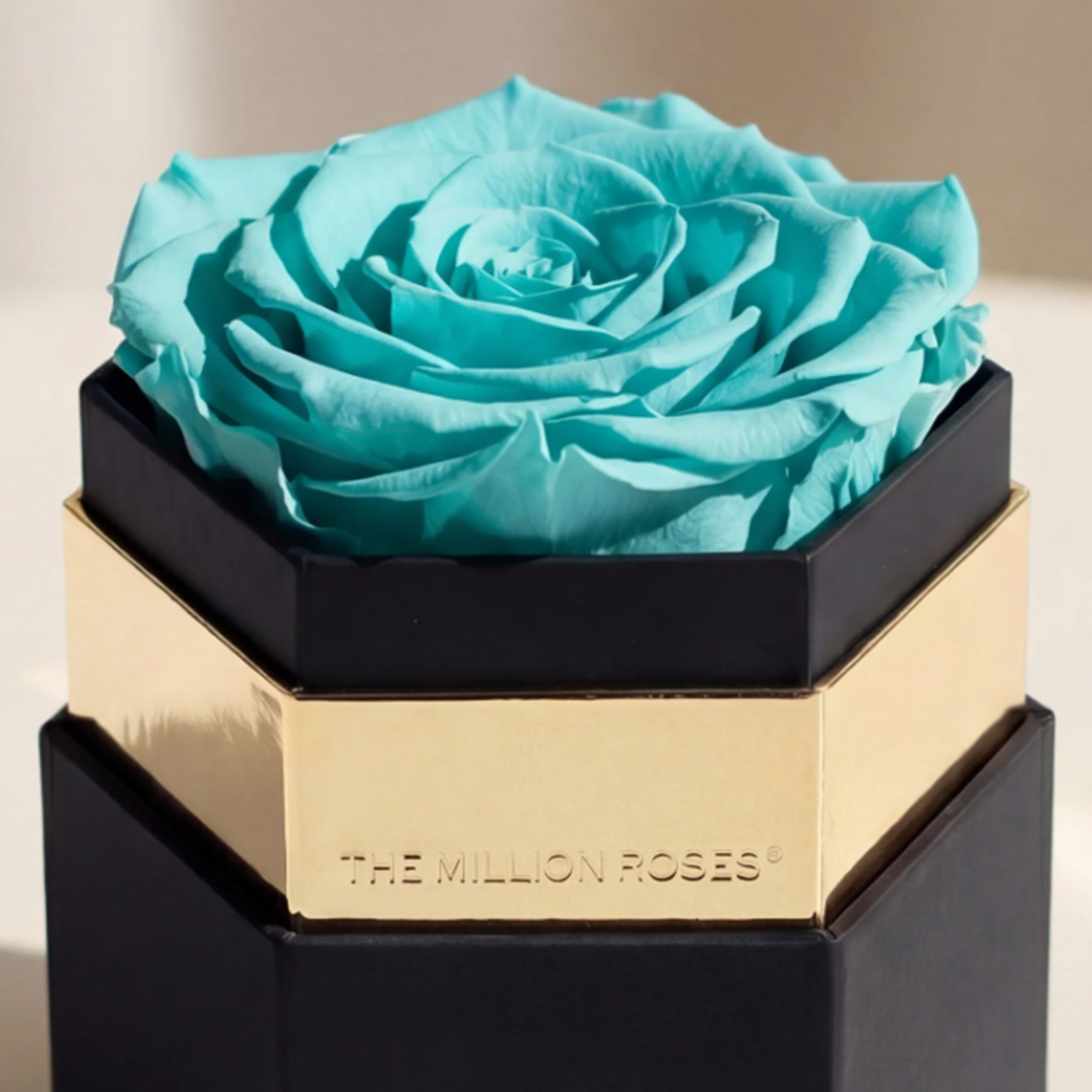 One in a Million™ Black Hexagon Box | Turquoise Rose