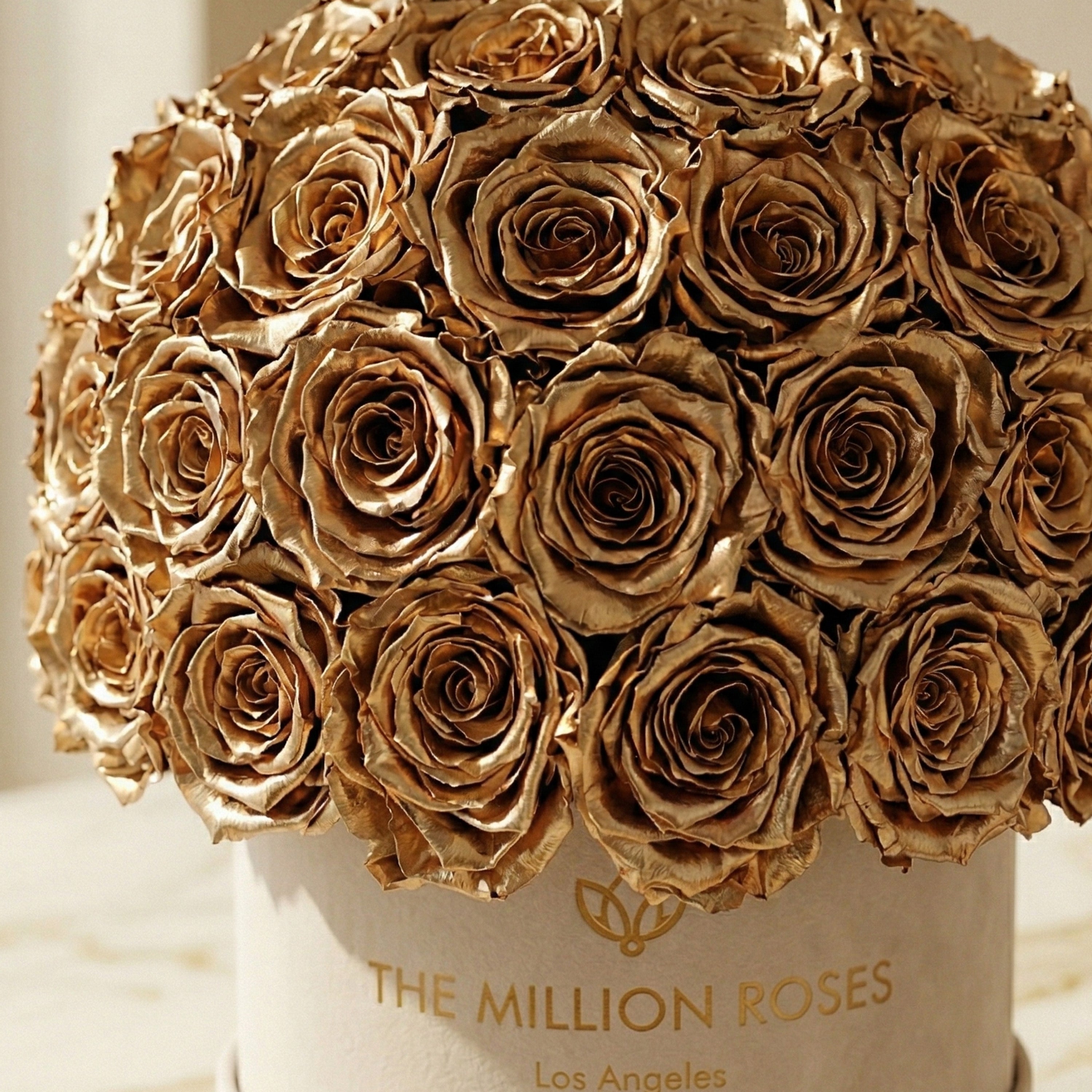 Classic Beige Suede Superdome Box | Gold Roses