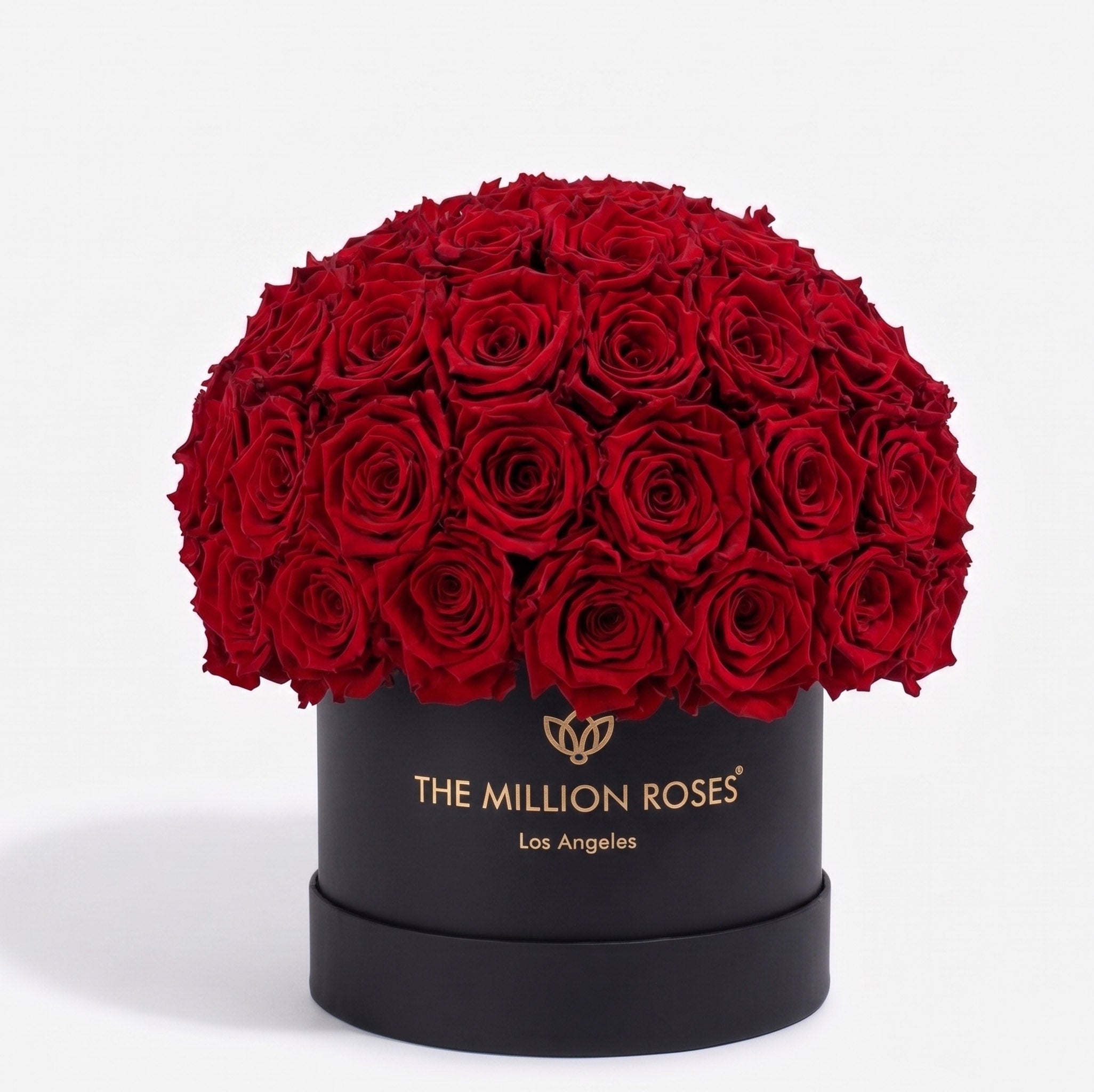 Classic Black Superdome Box | Red Roses