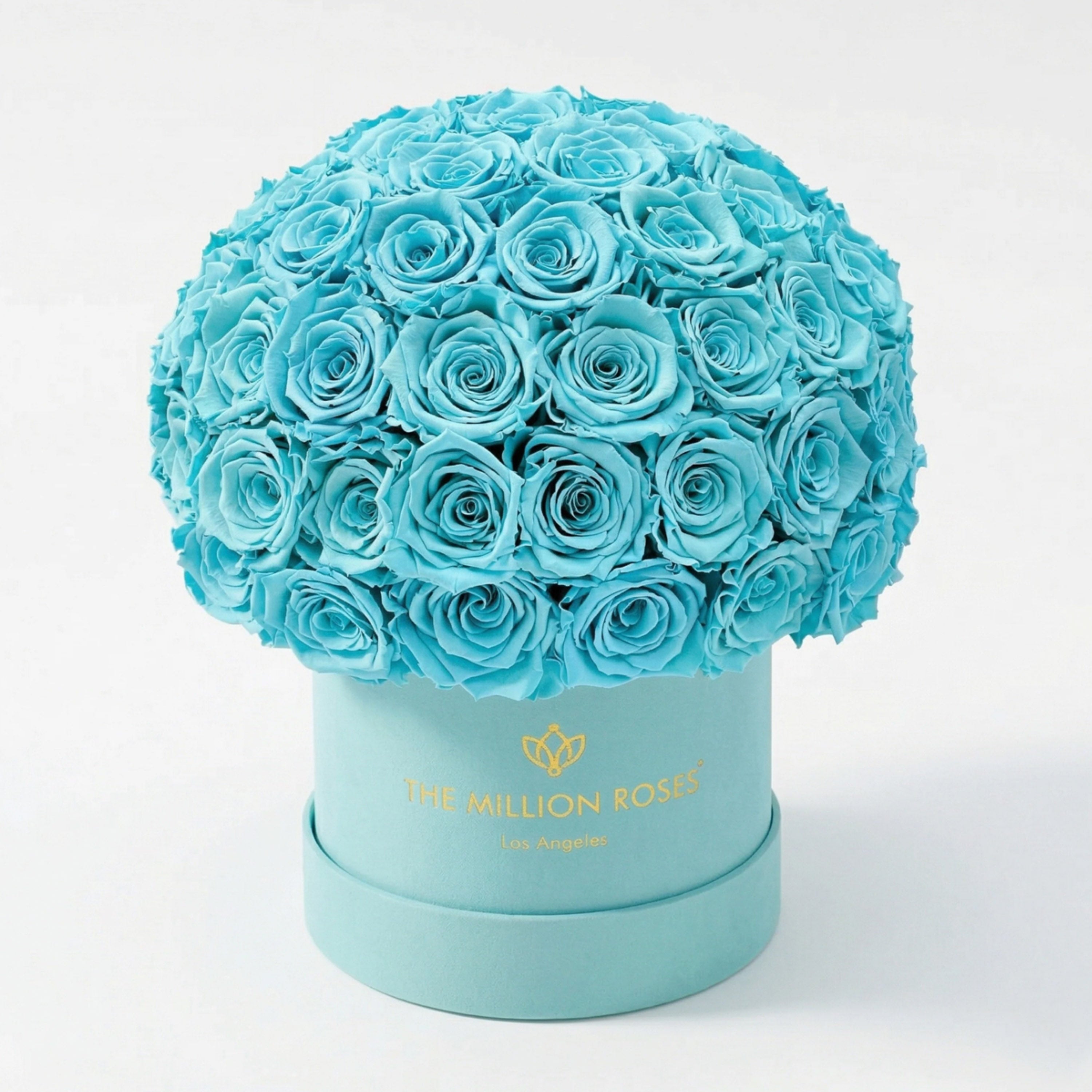 Classic Mint Green Suede Superdome Box | Turquoise Roses