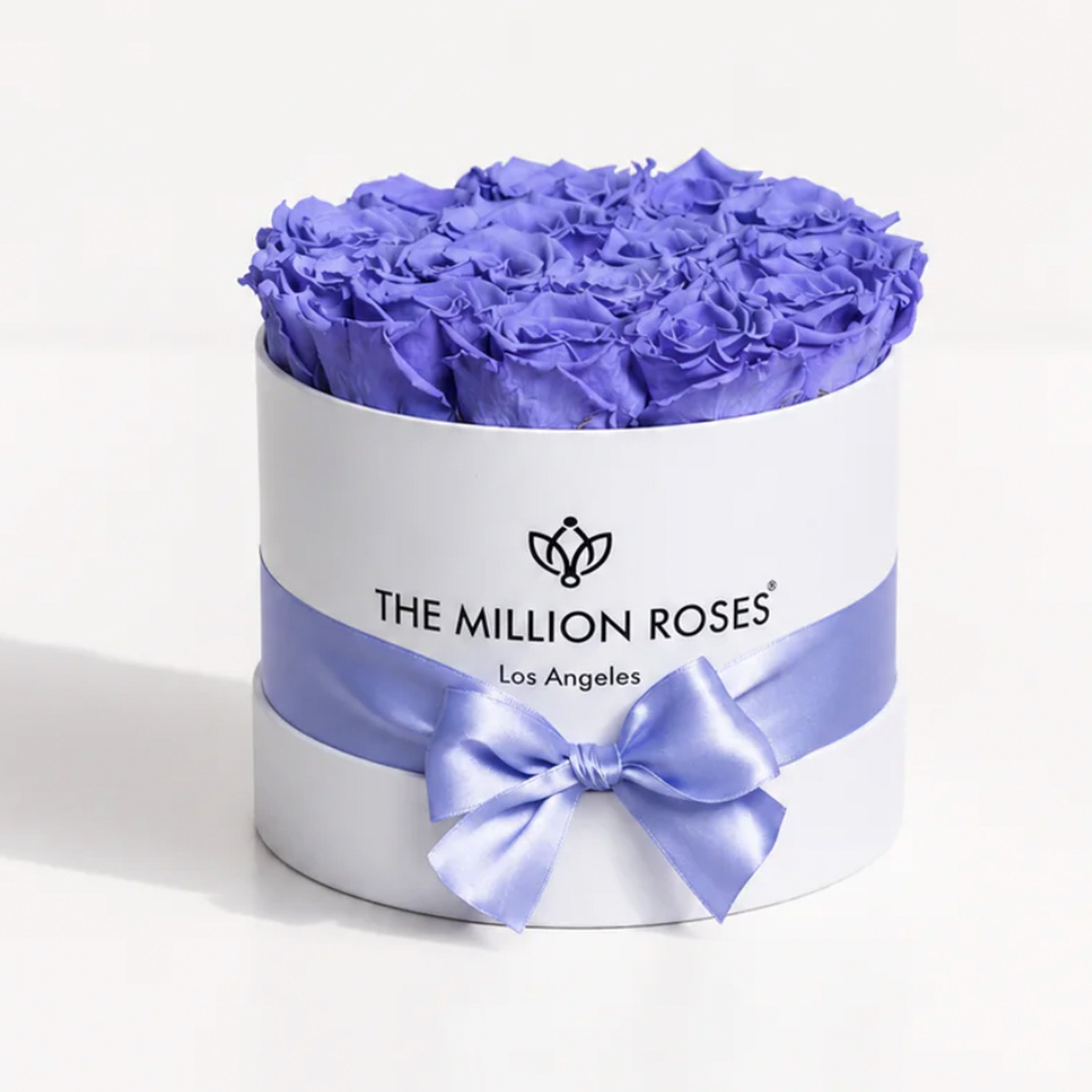 Classic White Box | Violet Roses
