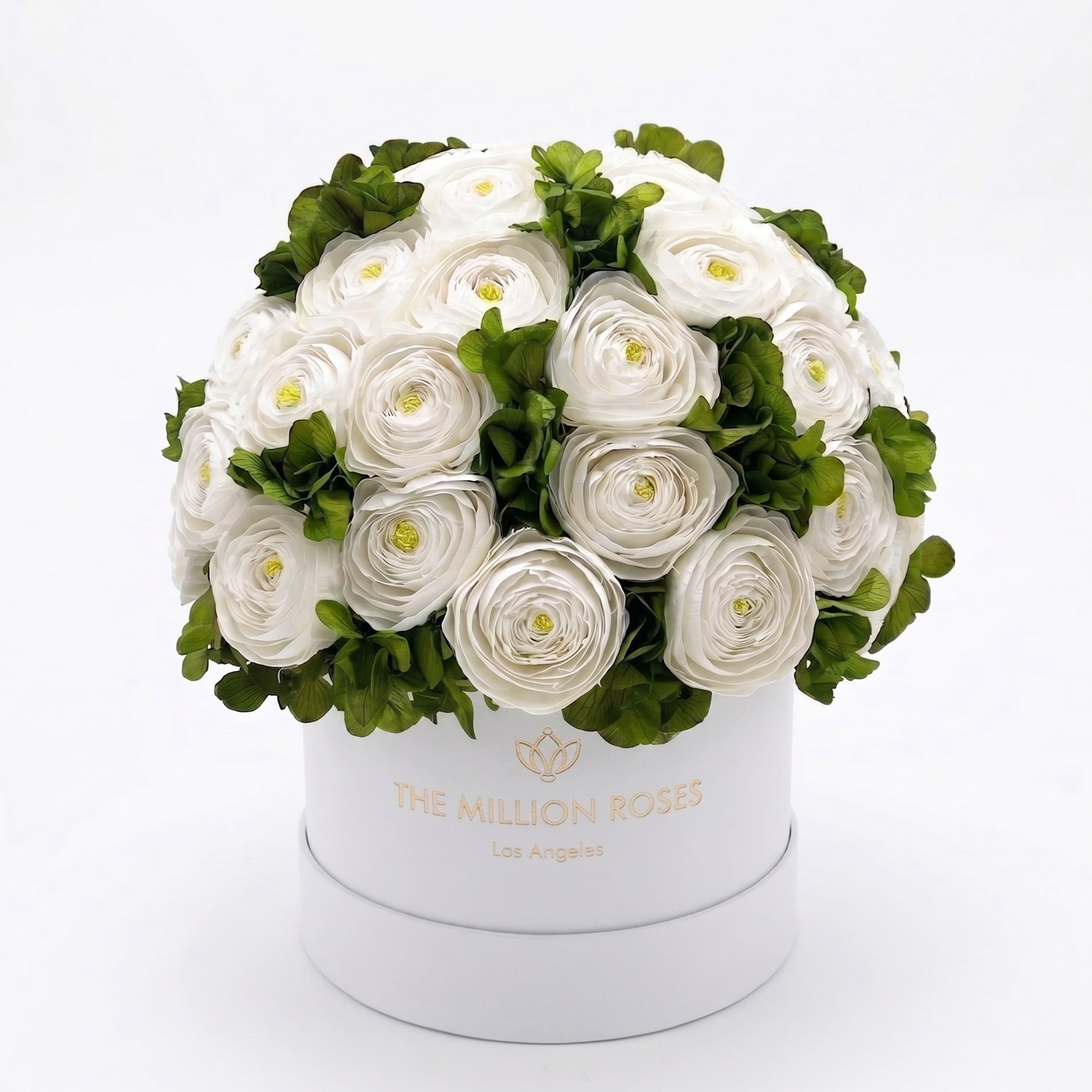 Classic White Box | White Persian Buttercups & Green Hydrangeas