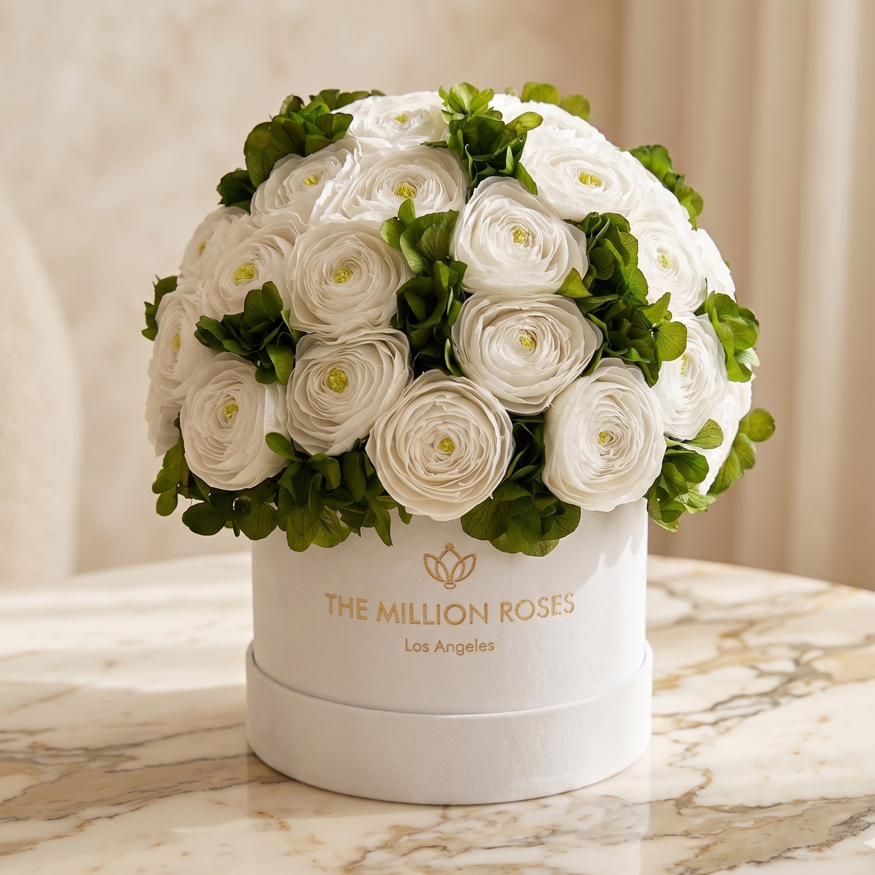 Classic White Box | White Persian Buttercups & Green Hydrangeas