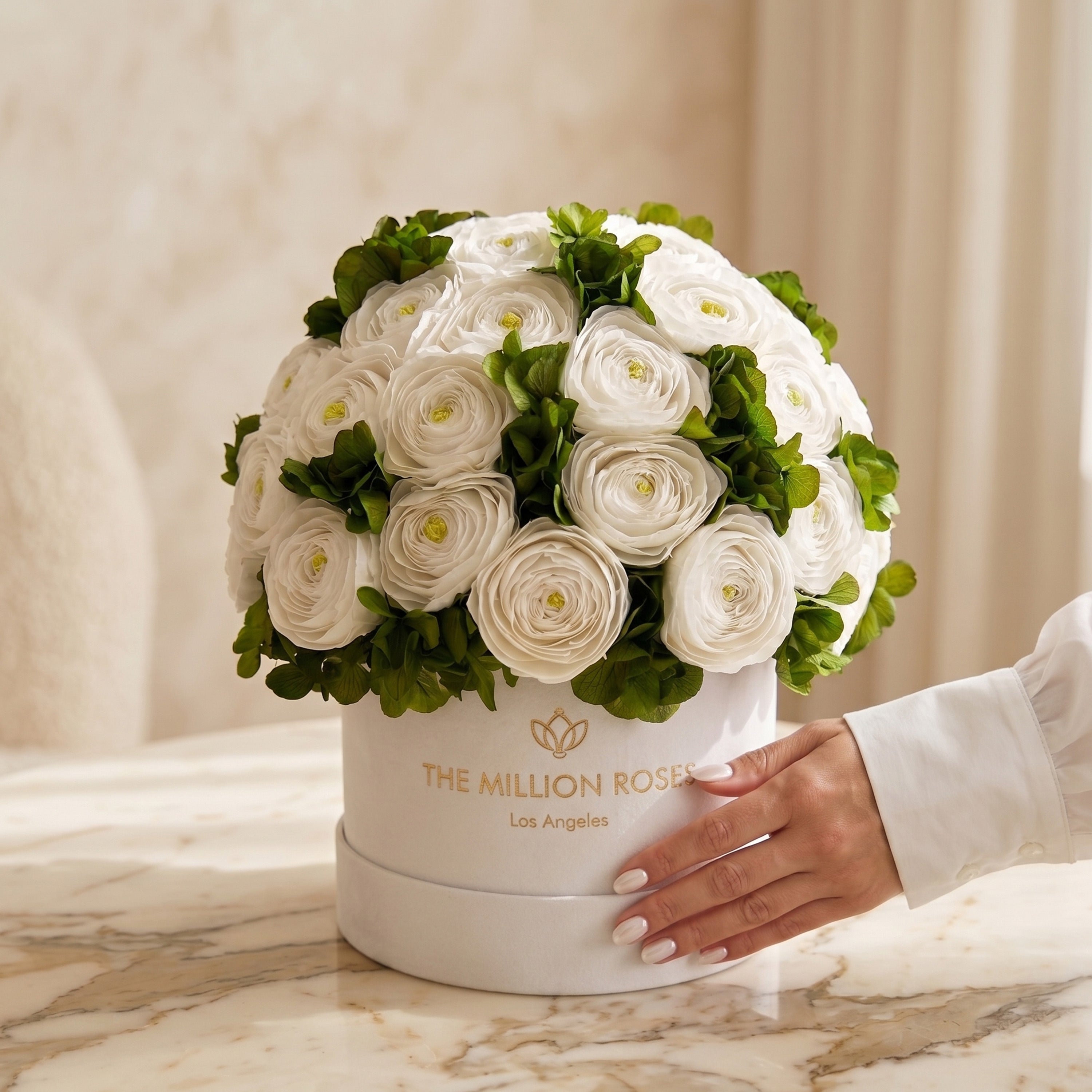 Classic White Box | White Persian Buttercups & Green Hydrangeas