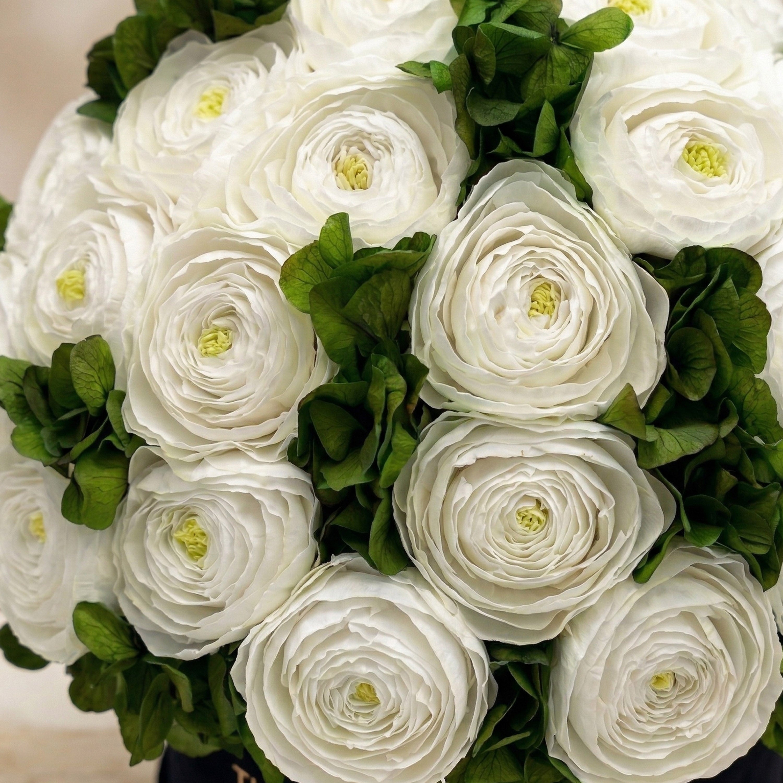 Classic Black Box | White Persian Buttercups & Green Hydrangeas