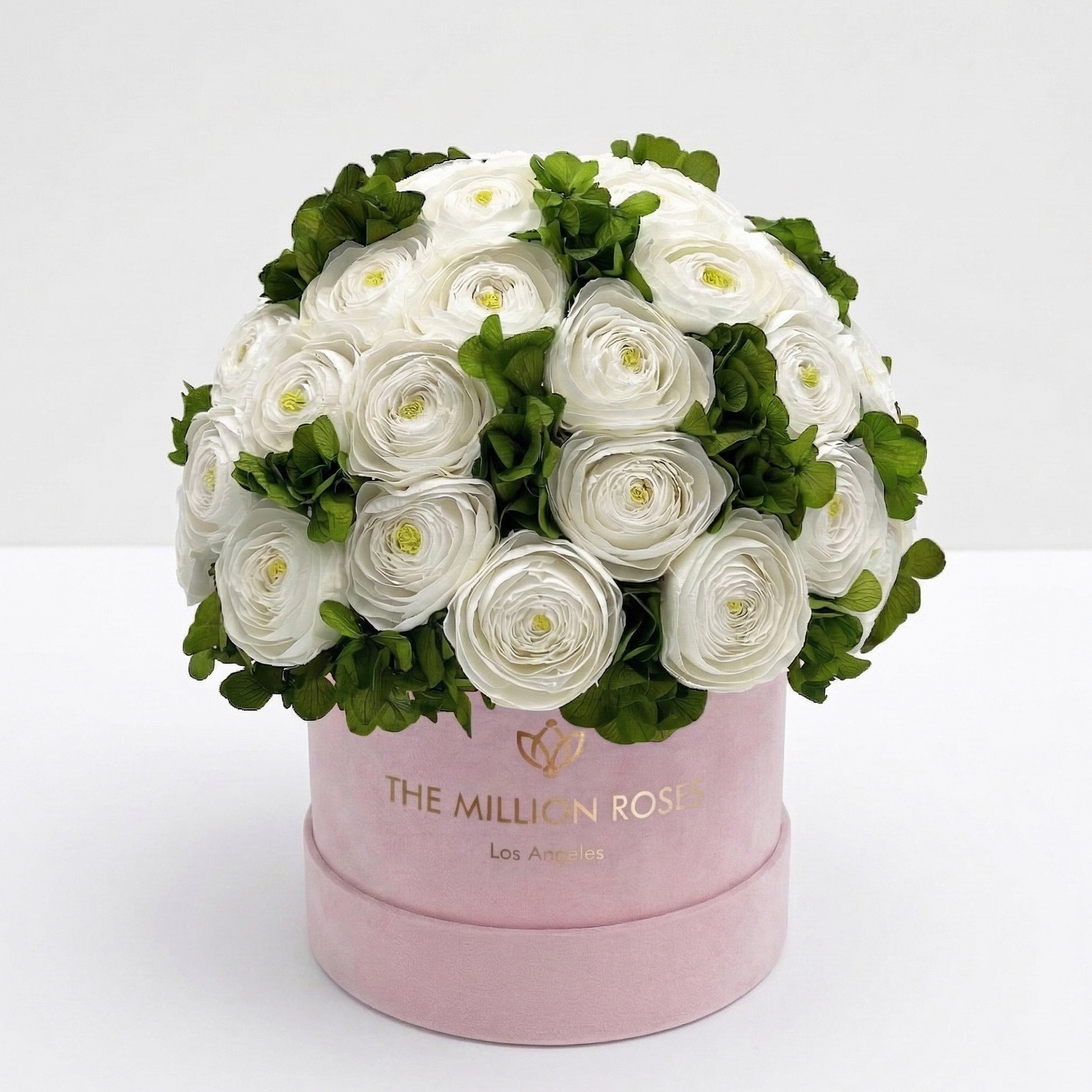 Classic Light Pink Suede Box | White Persian Buttercups & Green Hydrangeas