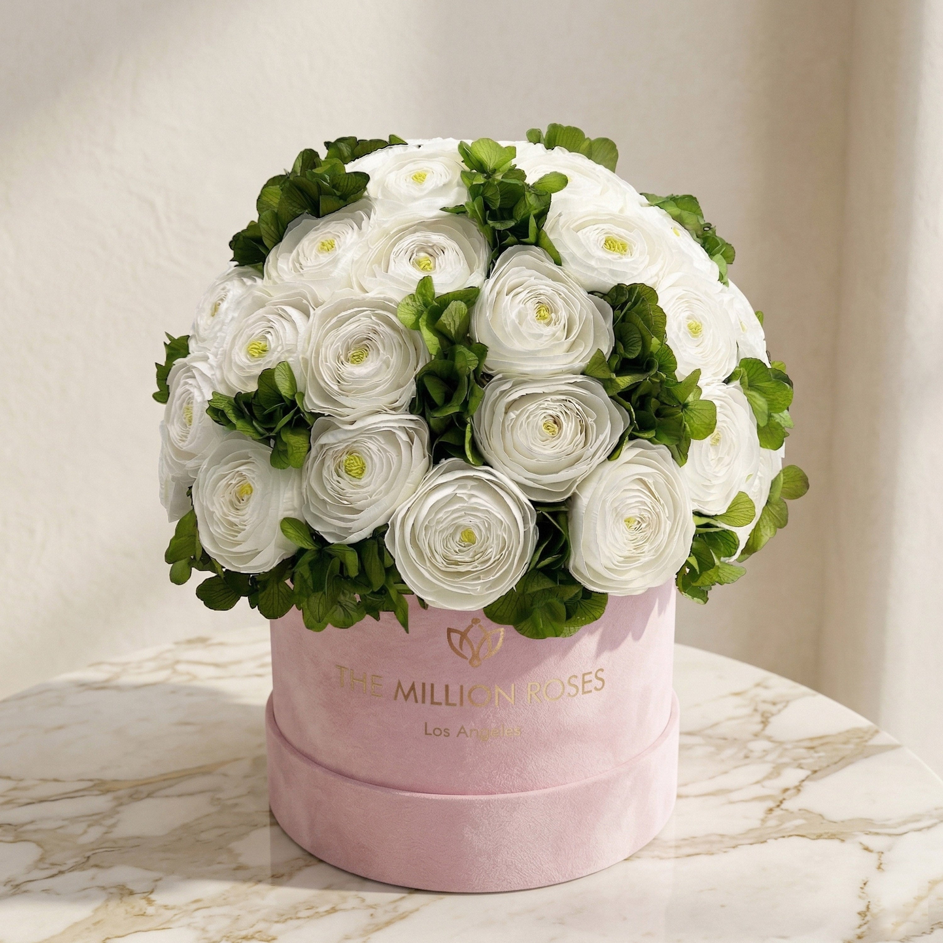 Classic Light Pink Suede Box | White Persian Buttercups & Green Hydrangeas