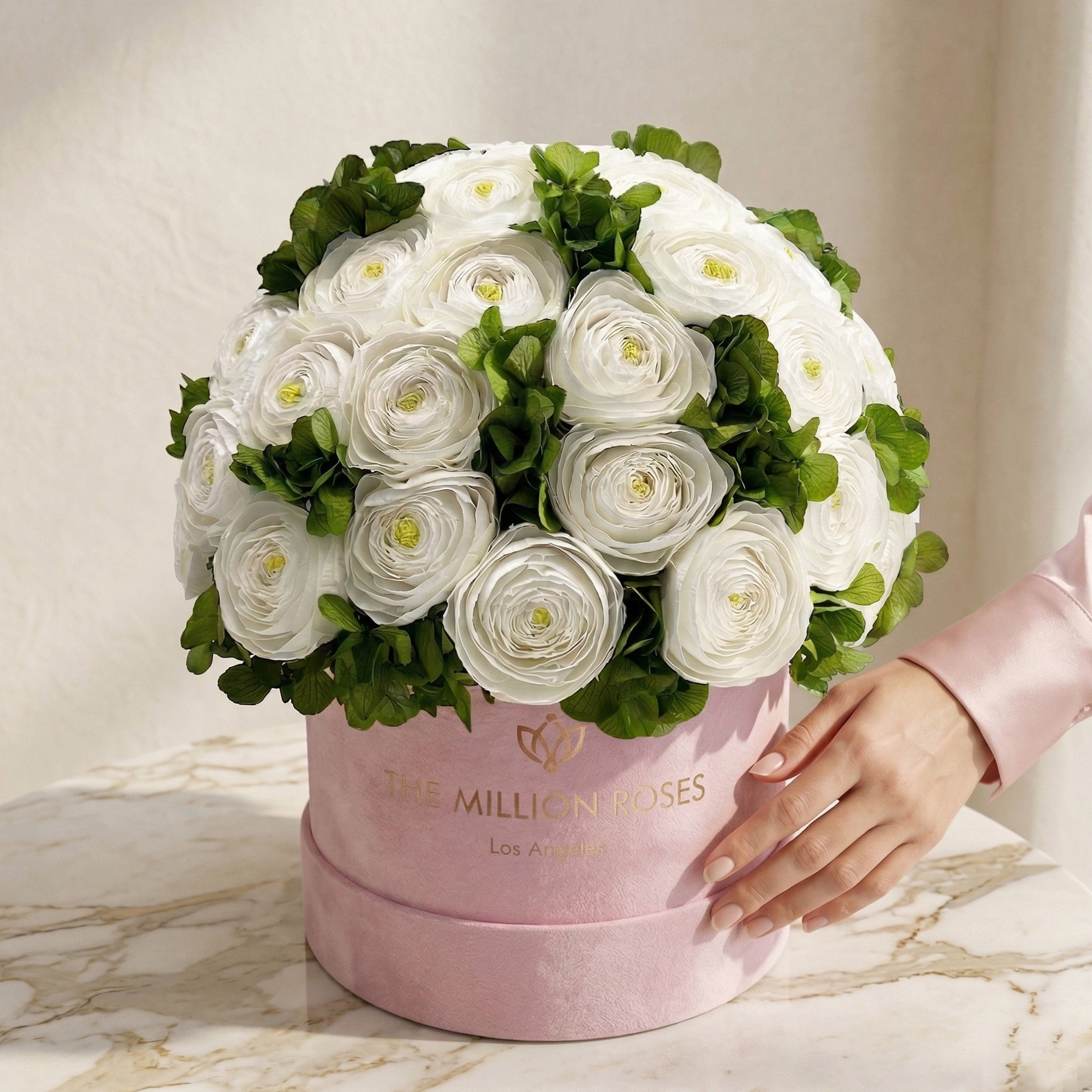 Classic Light Pink Suede Box | White Persian Buttercups & Green Hydrangeas