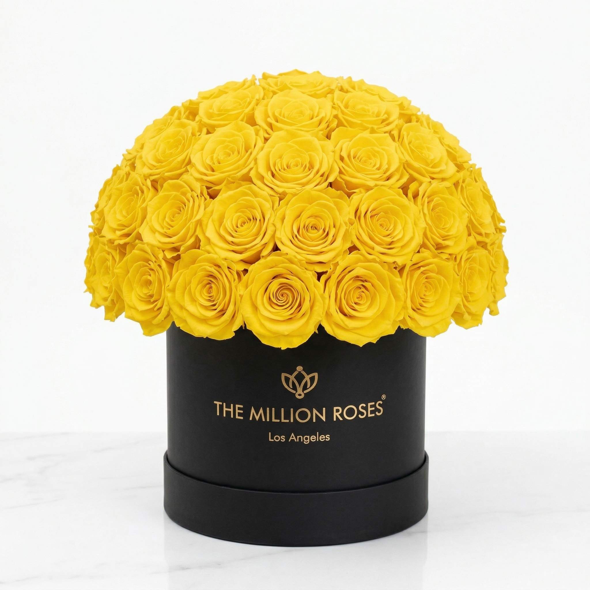 Classic Black Superdome Box | Yellow Roses