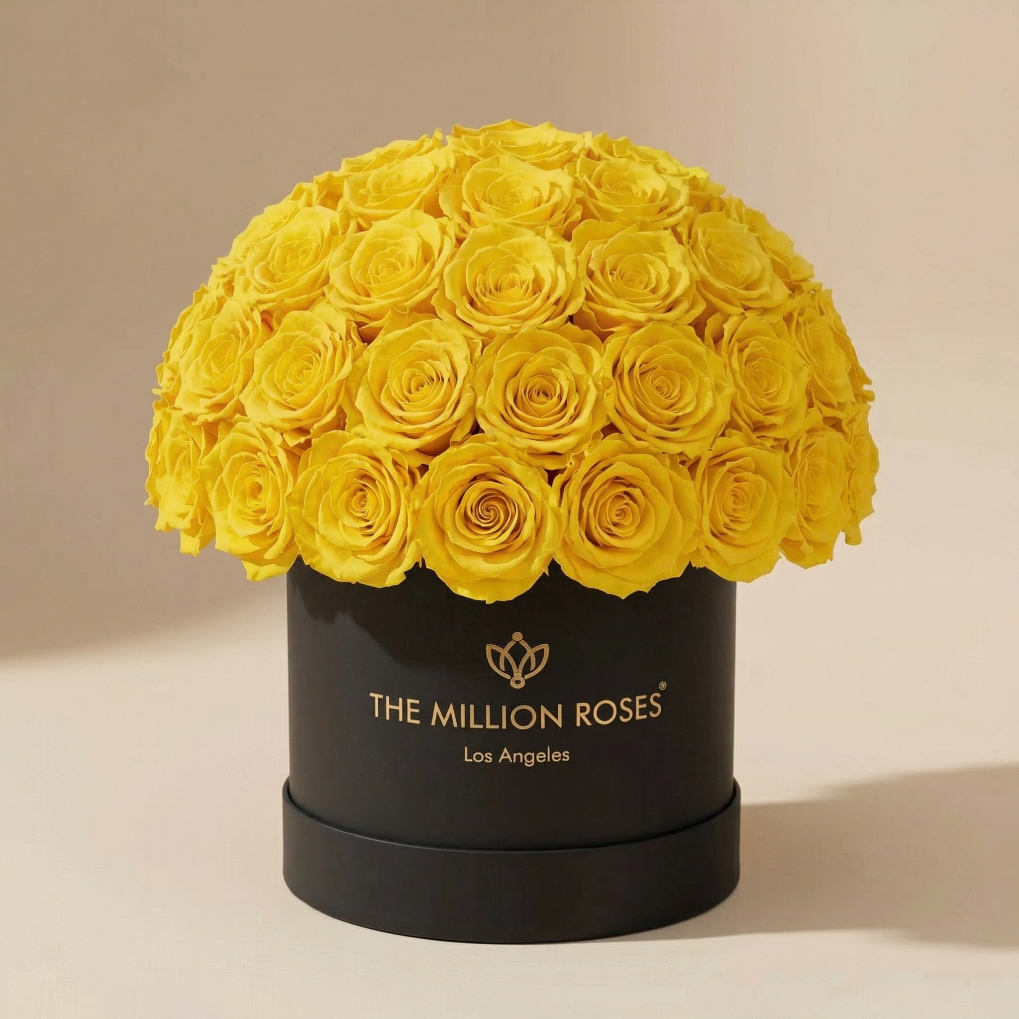 Classic Black Superdome Box | Yellow Roses
