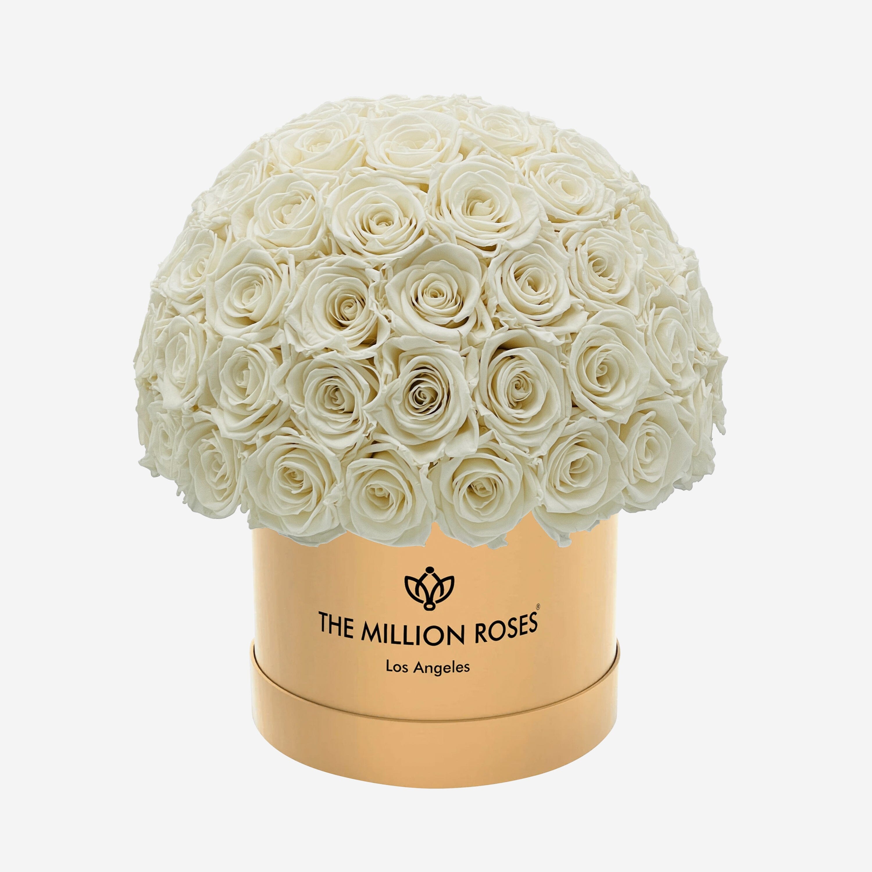 Cutie Superdome aurie clasică | Trandafiri albi