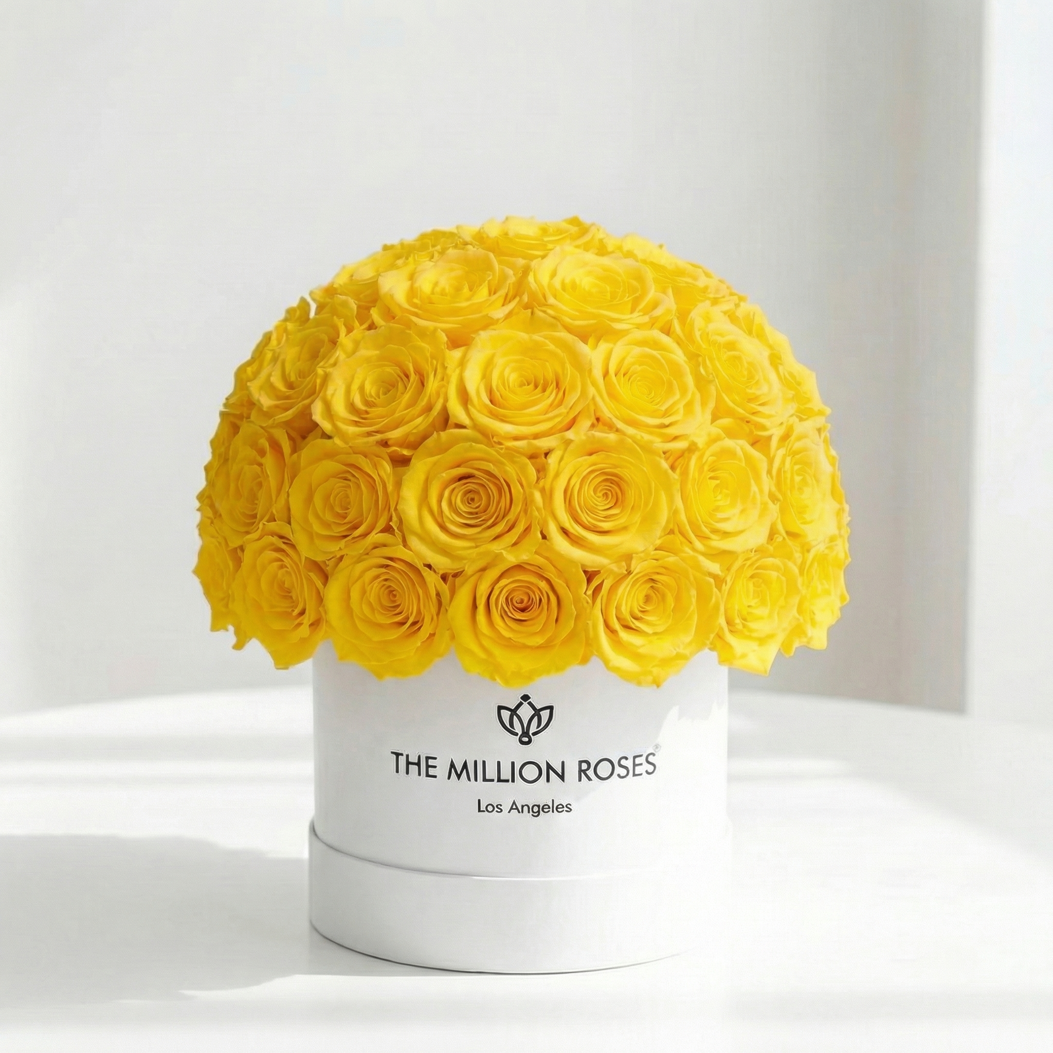 Classic White Superdome Box | Yellow Roses