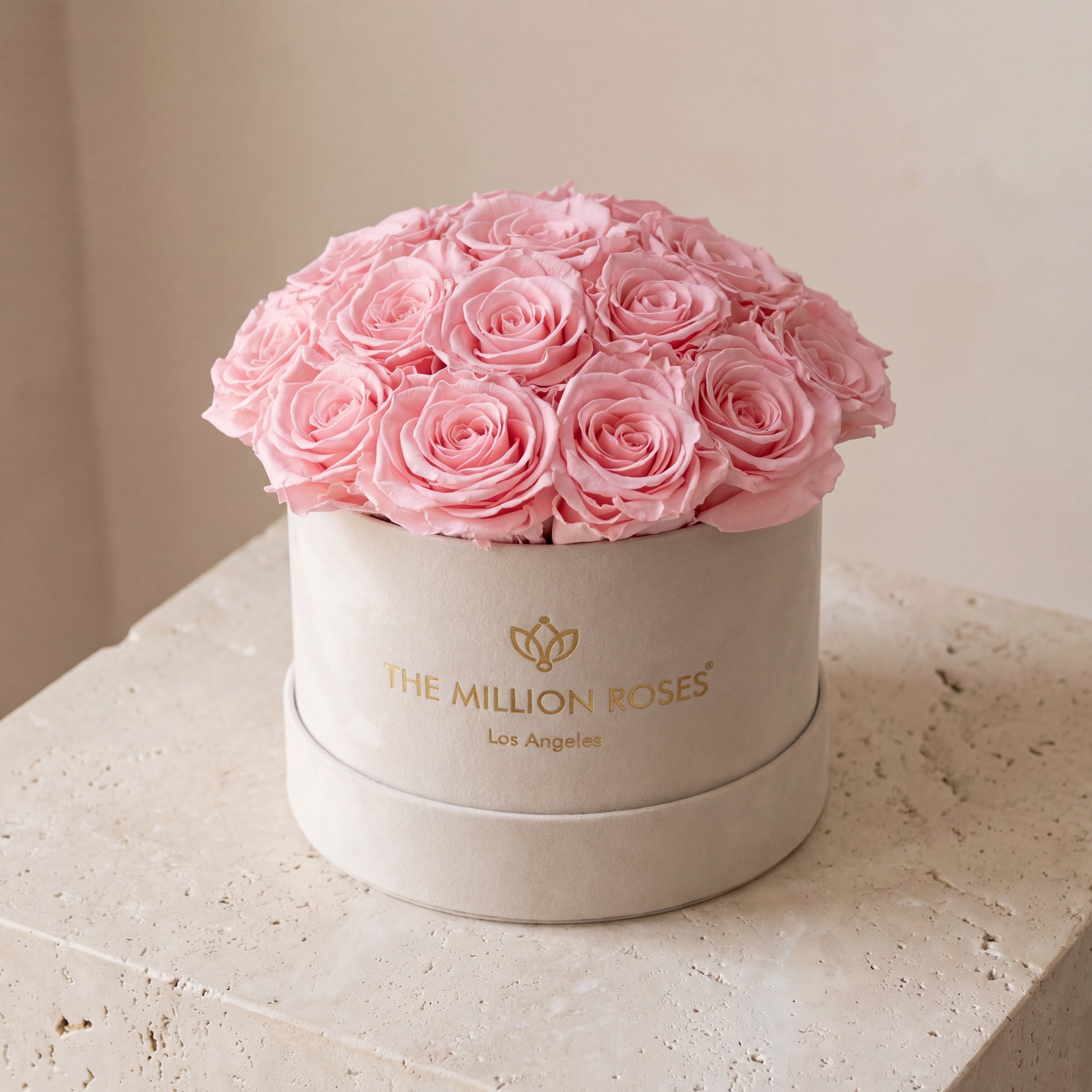 Scatola classica a cupola in pelle scamosciata beige | Rose rosa chiaro