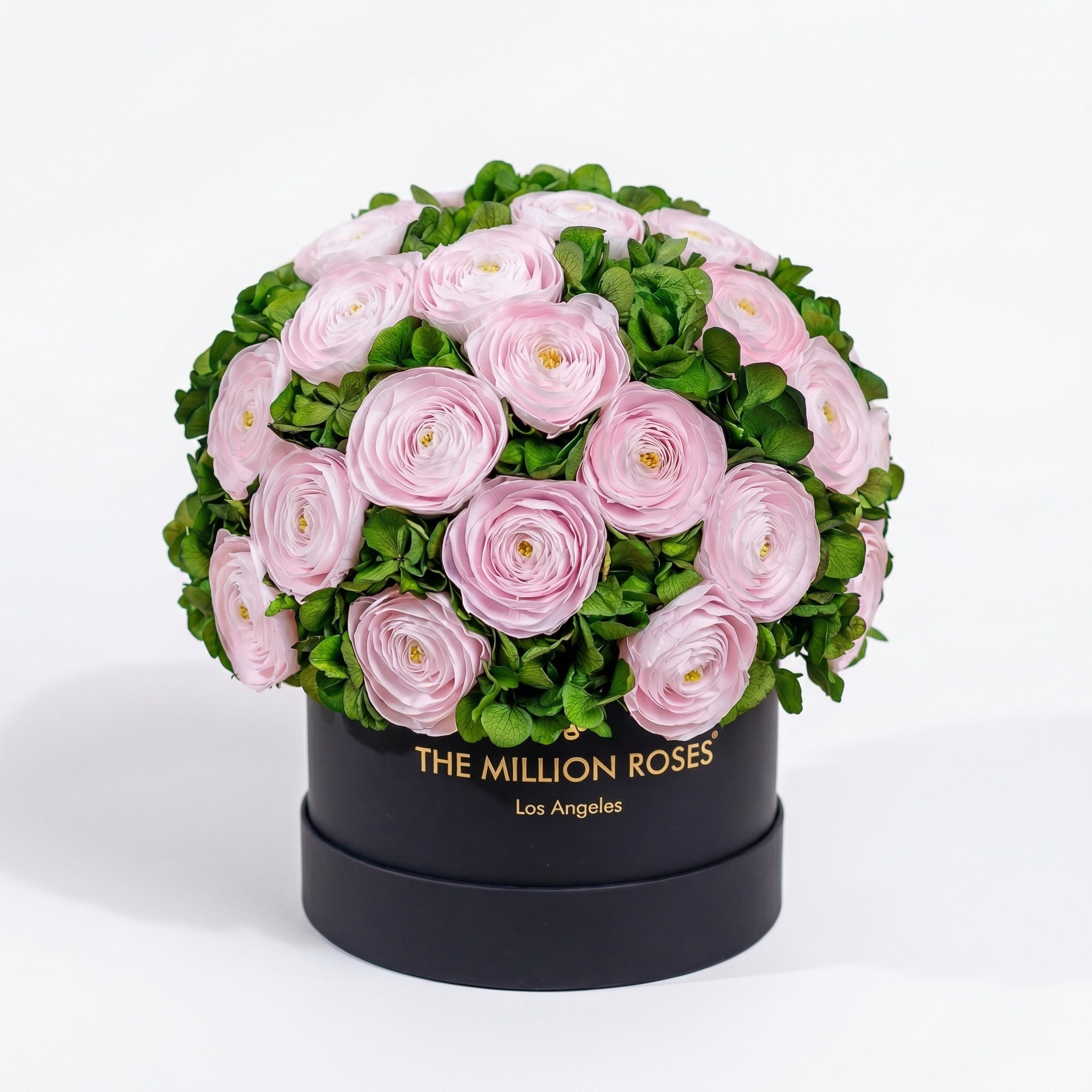 Scatola nera classica | ranuncoli persiani rosa chiaro e ortensie verdi