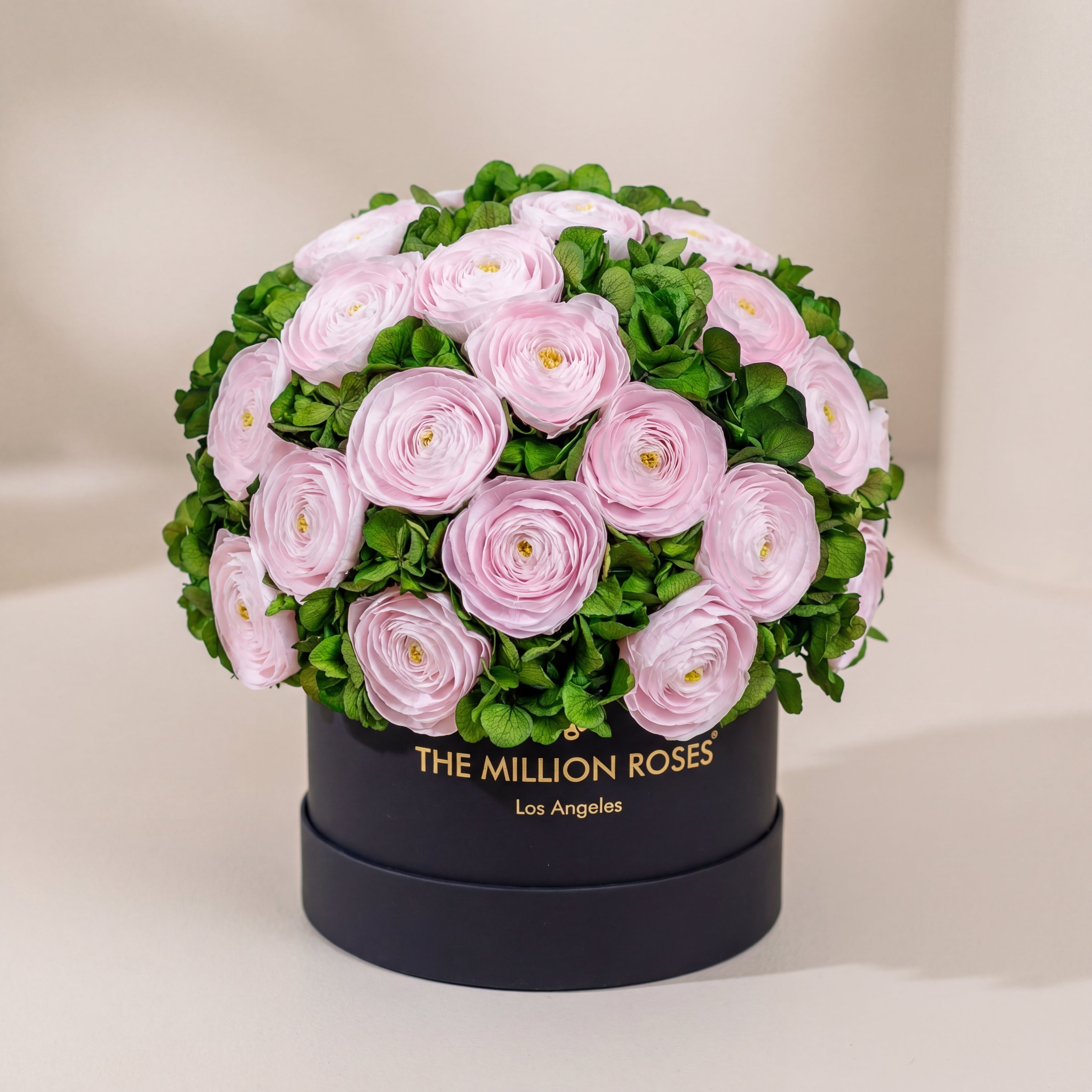 Scatola nera classica | ranuncoli persiani rosa chiaro e ortensie verdi