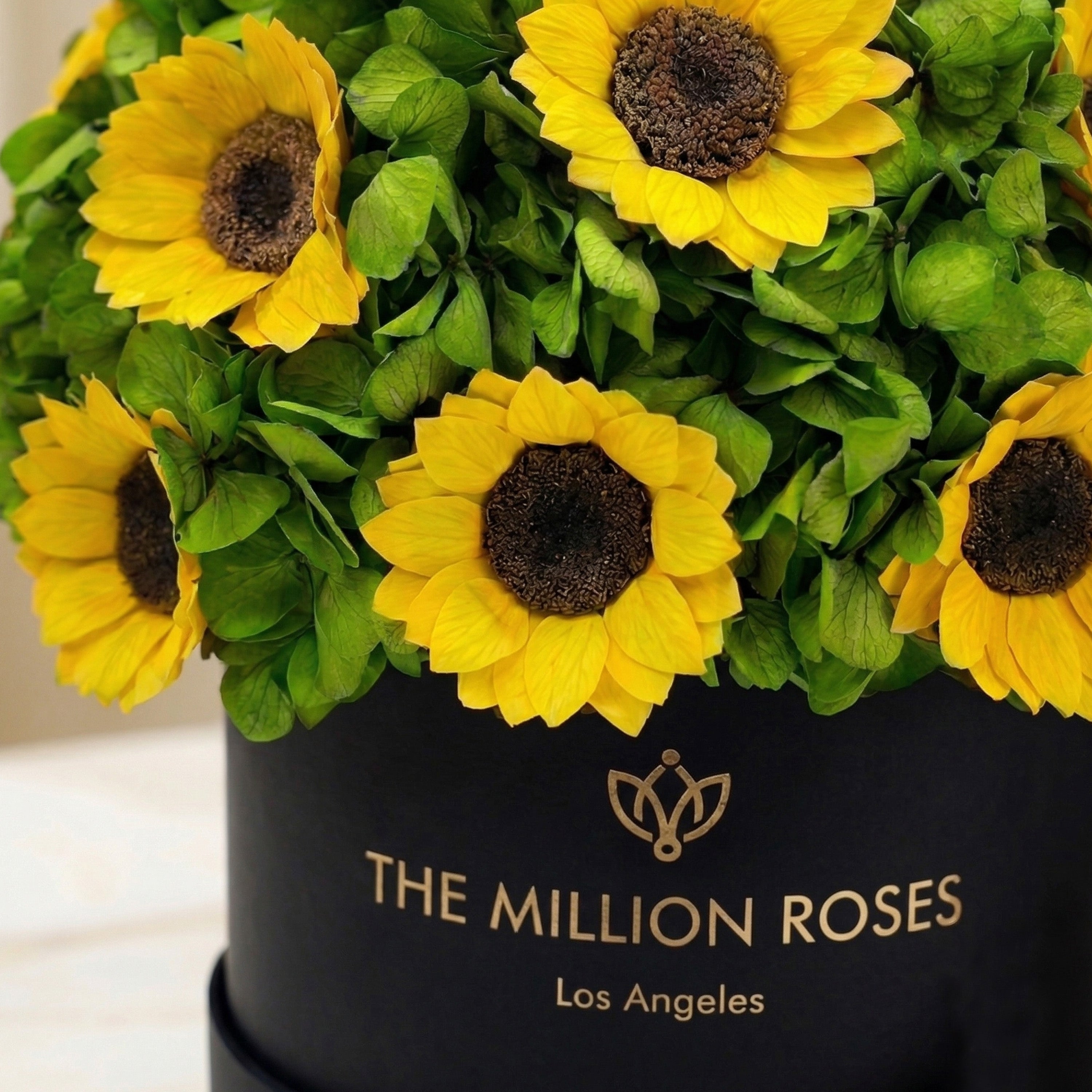 Caja negra clásica | Hortensias verdes y girasoles