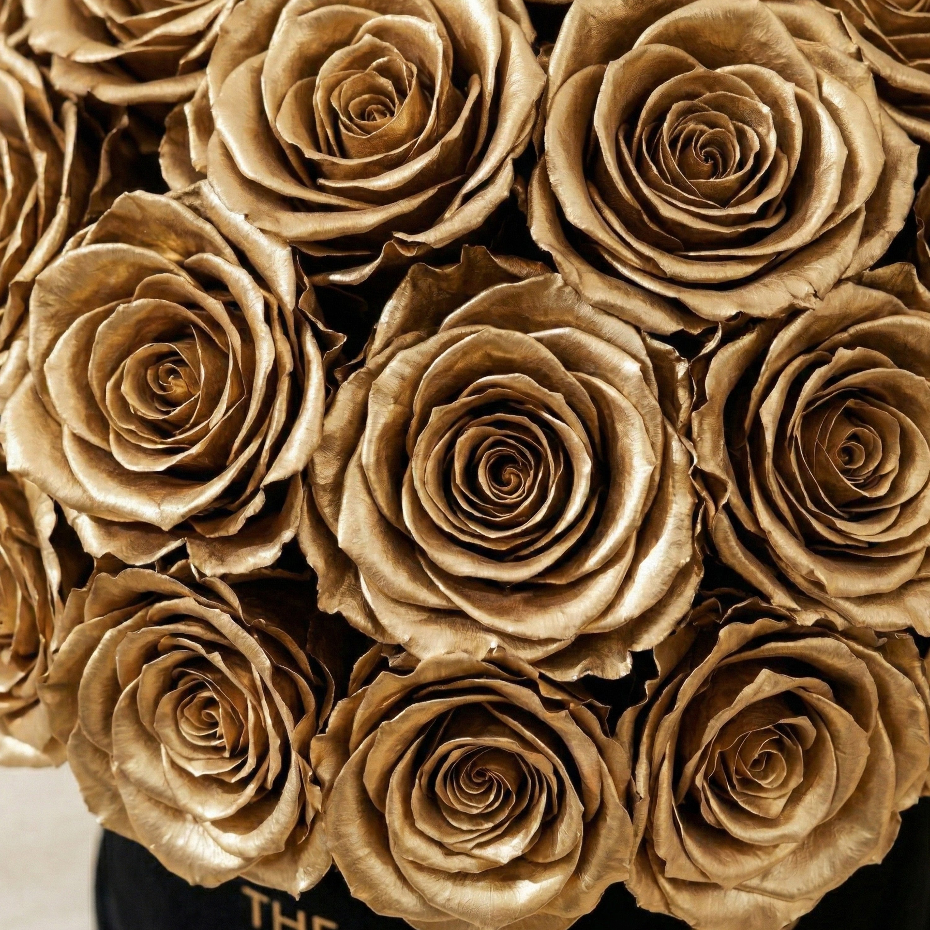 Caja Superdome Negra Clásica | Rosas de oro