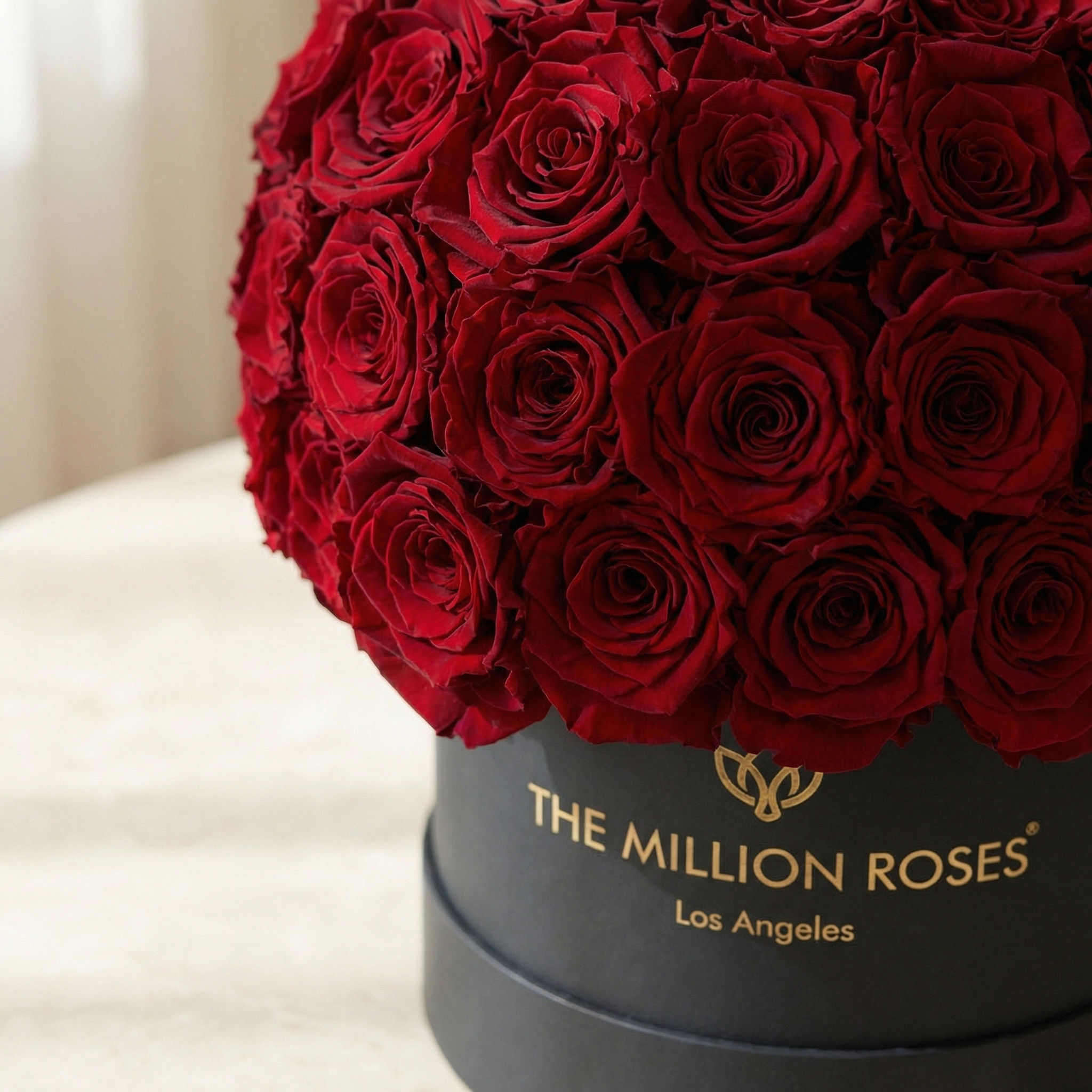 Boîte Superdome Classique Noir | Roses rouges