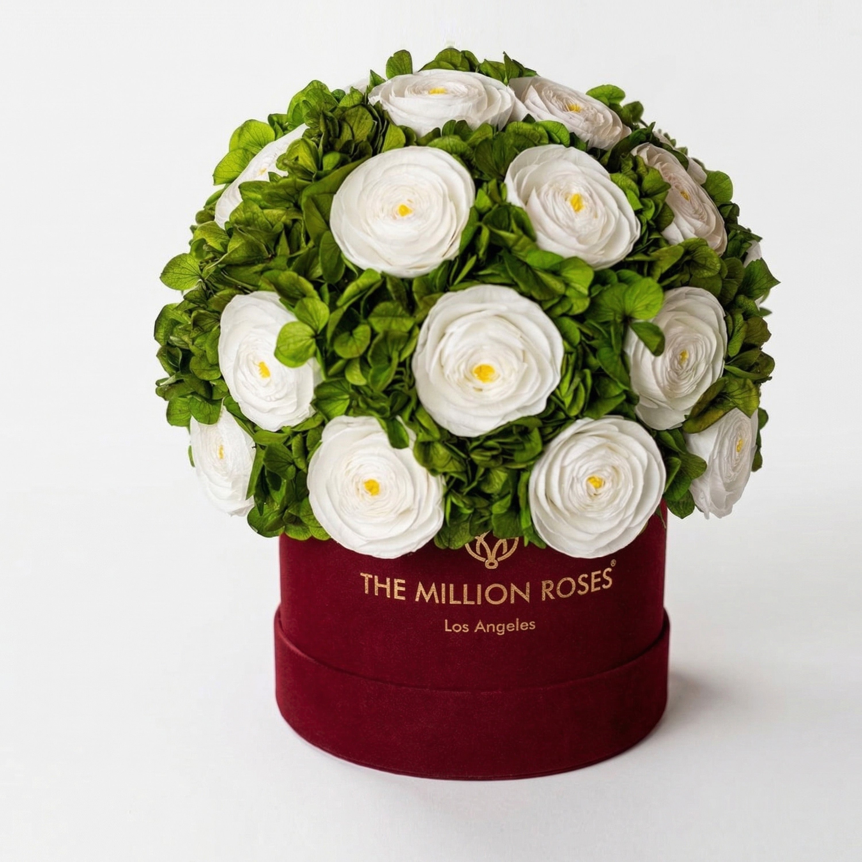 Classic Bordeaux Suede Box | White Persian Buttercups & Green Hydrangeas
