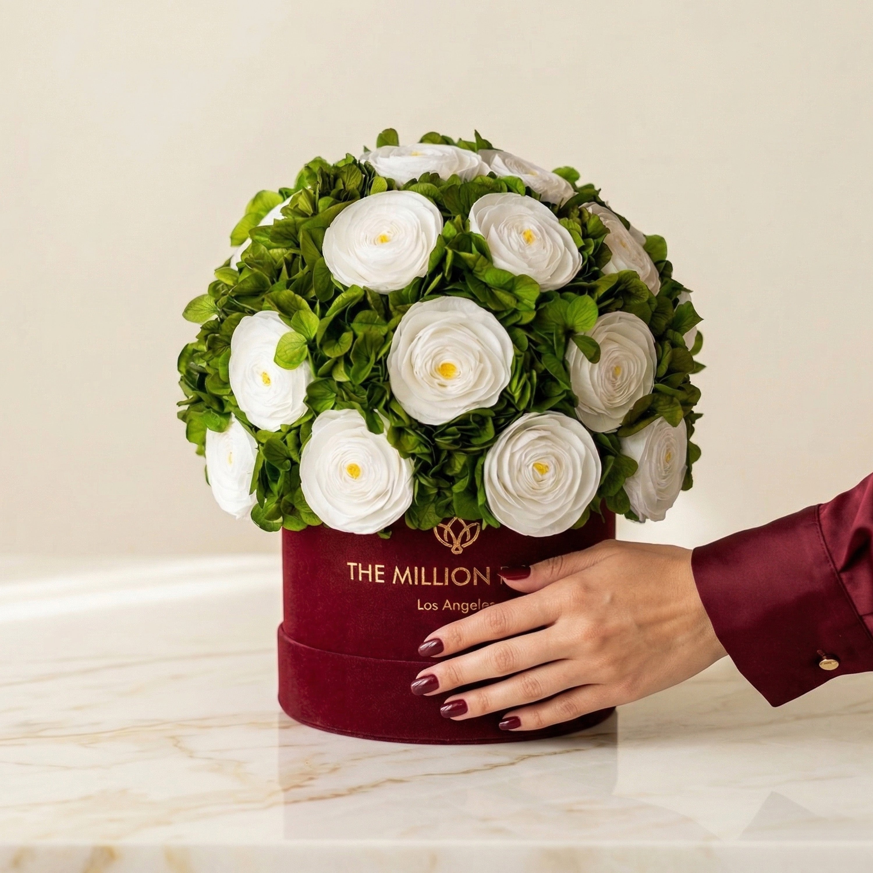 Classic Bordeaux Suede Box | White Persian Buttercups & Green Hydrangeas