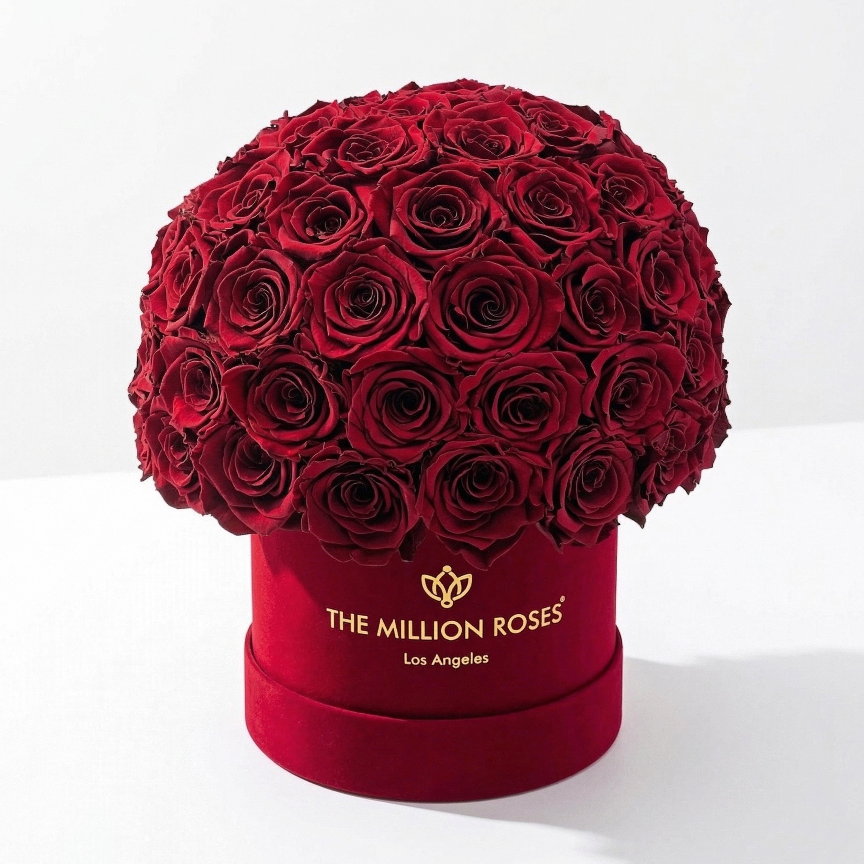 Classic Bordeaux Suede Superdome Box | Burgundy Roses