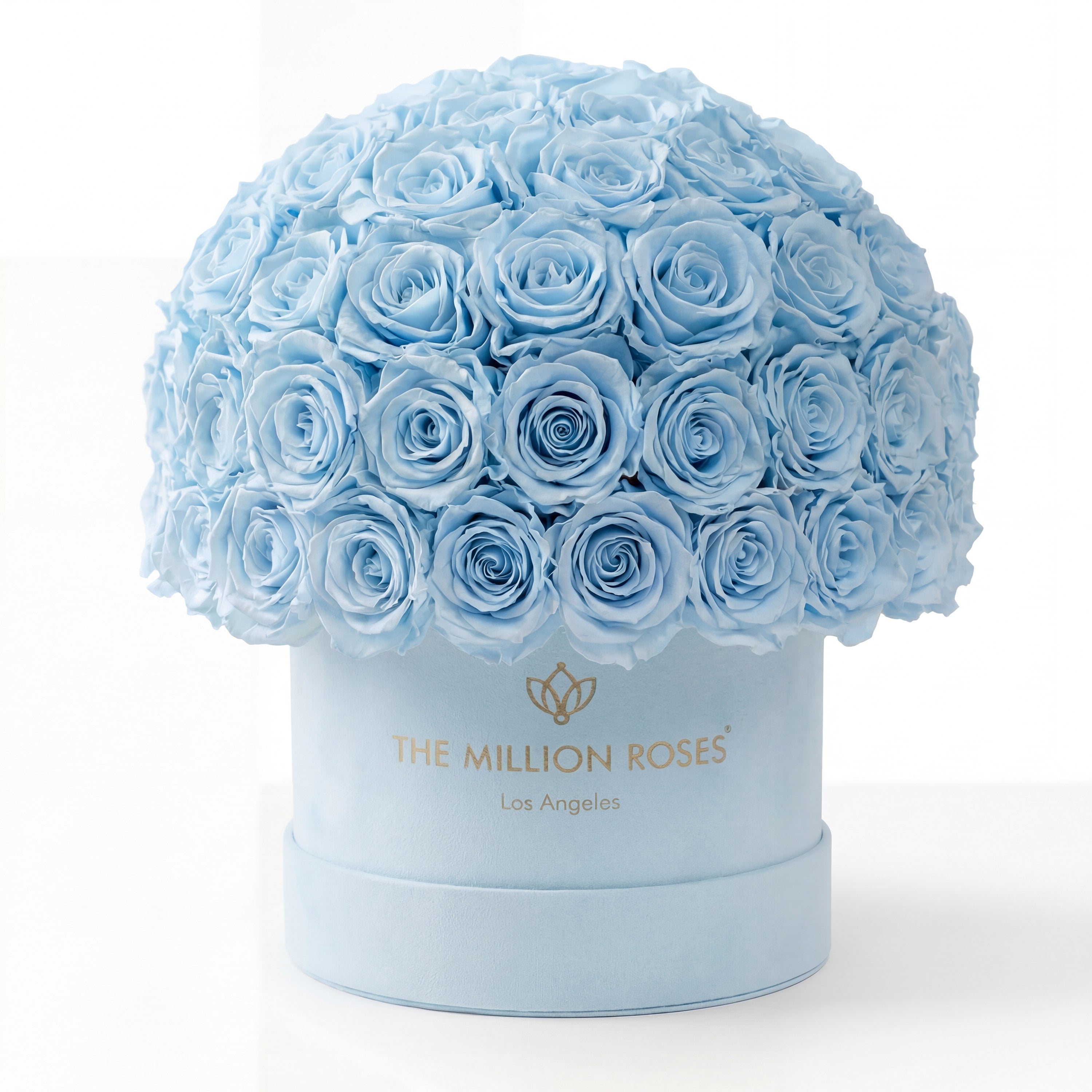 Classic Light Blue Suede Superdome Box | Light Blue Roses