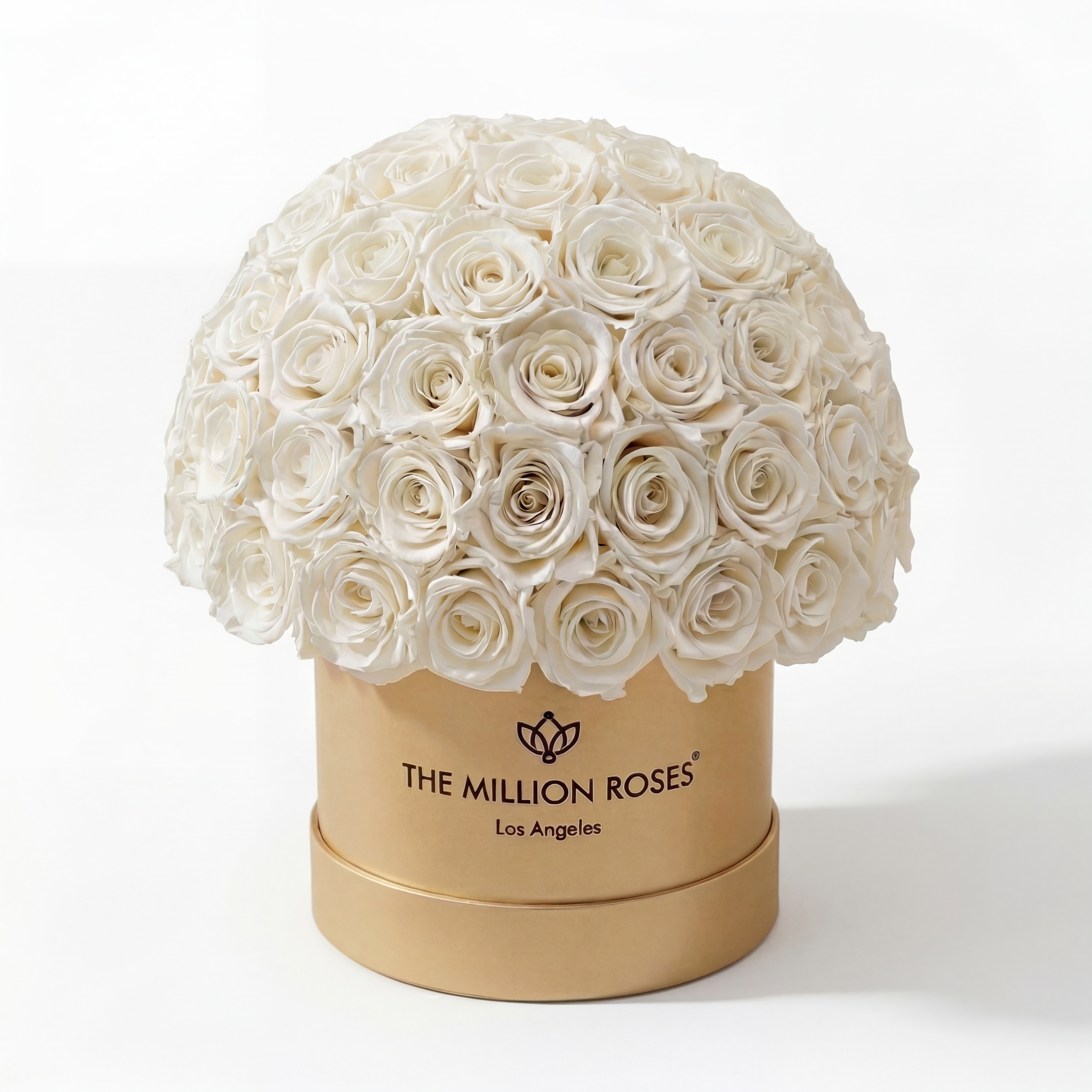 Classic Gold Superdome Box | White Roses