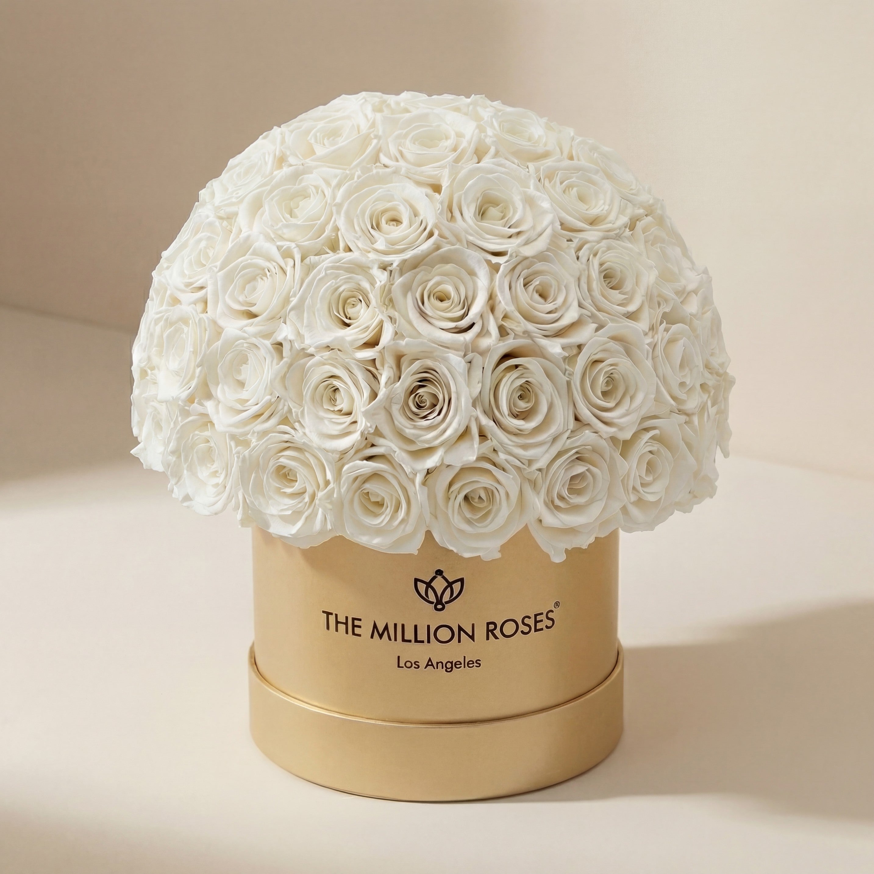 Classic Gold Superdome Box | White Roses