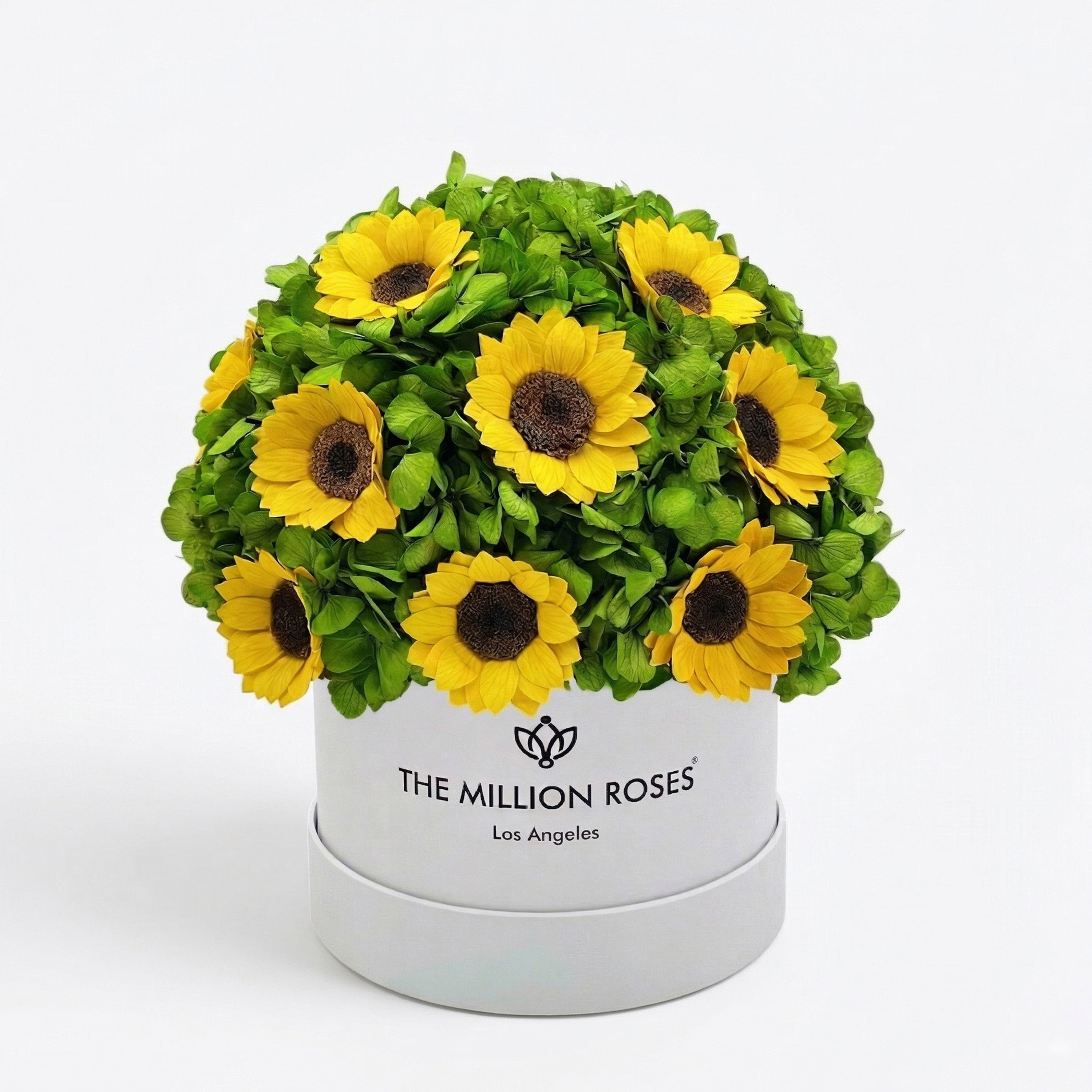 Classic White Box | Green Hydrangeas & Sunflowers