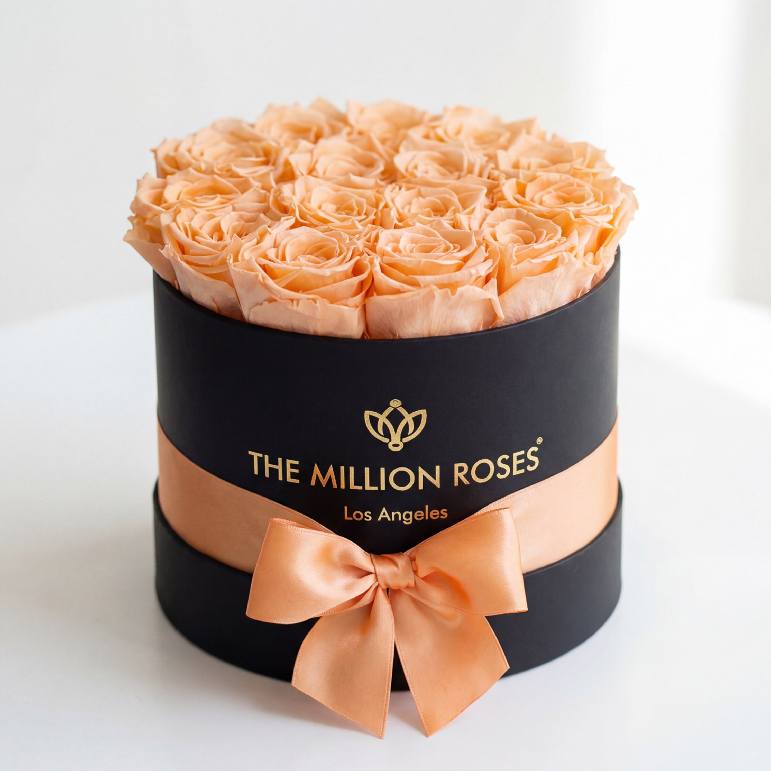 Classic Black Box | Peach Roses